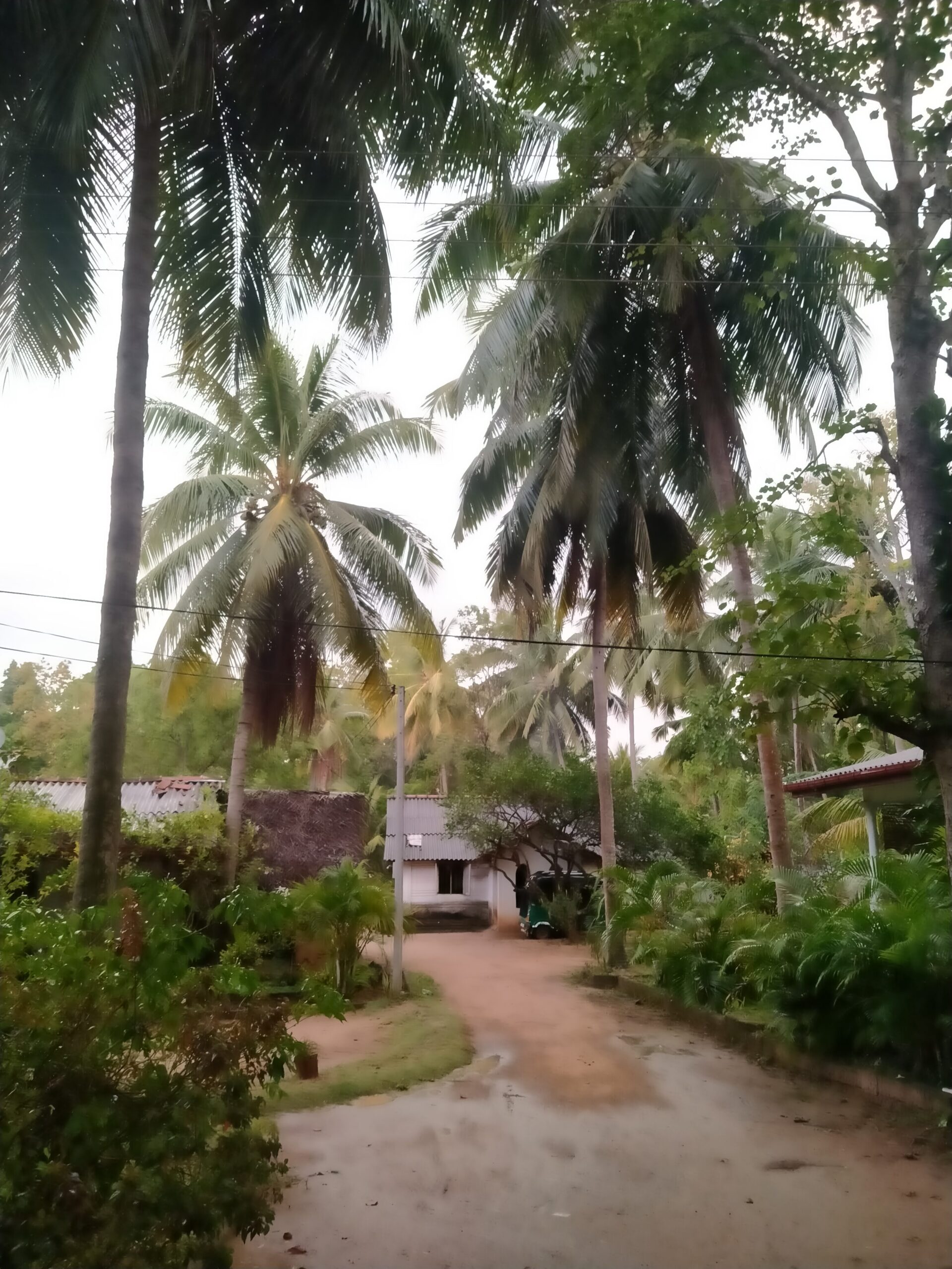 Sri Lanka — paisatge i ruta per l'illa