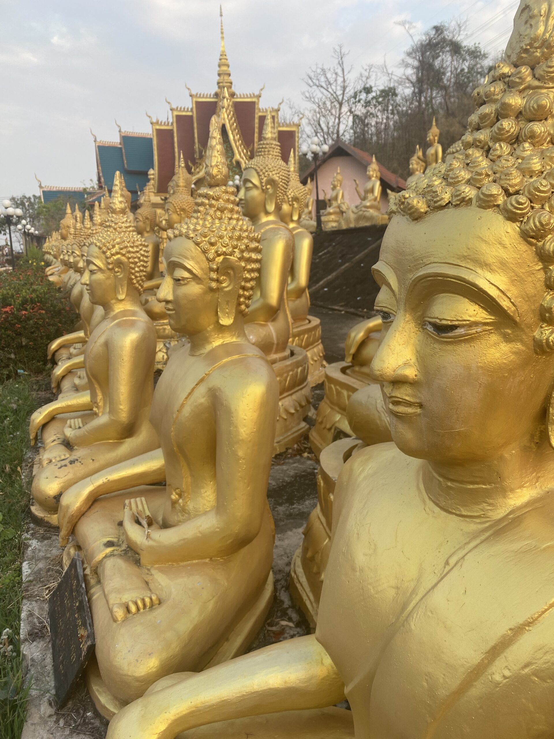 Figures de Buda i temples a Vientiane, Laos