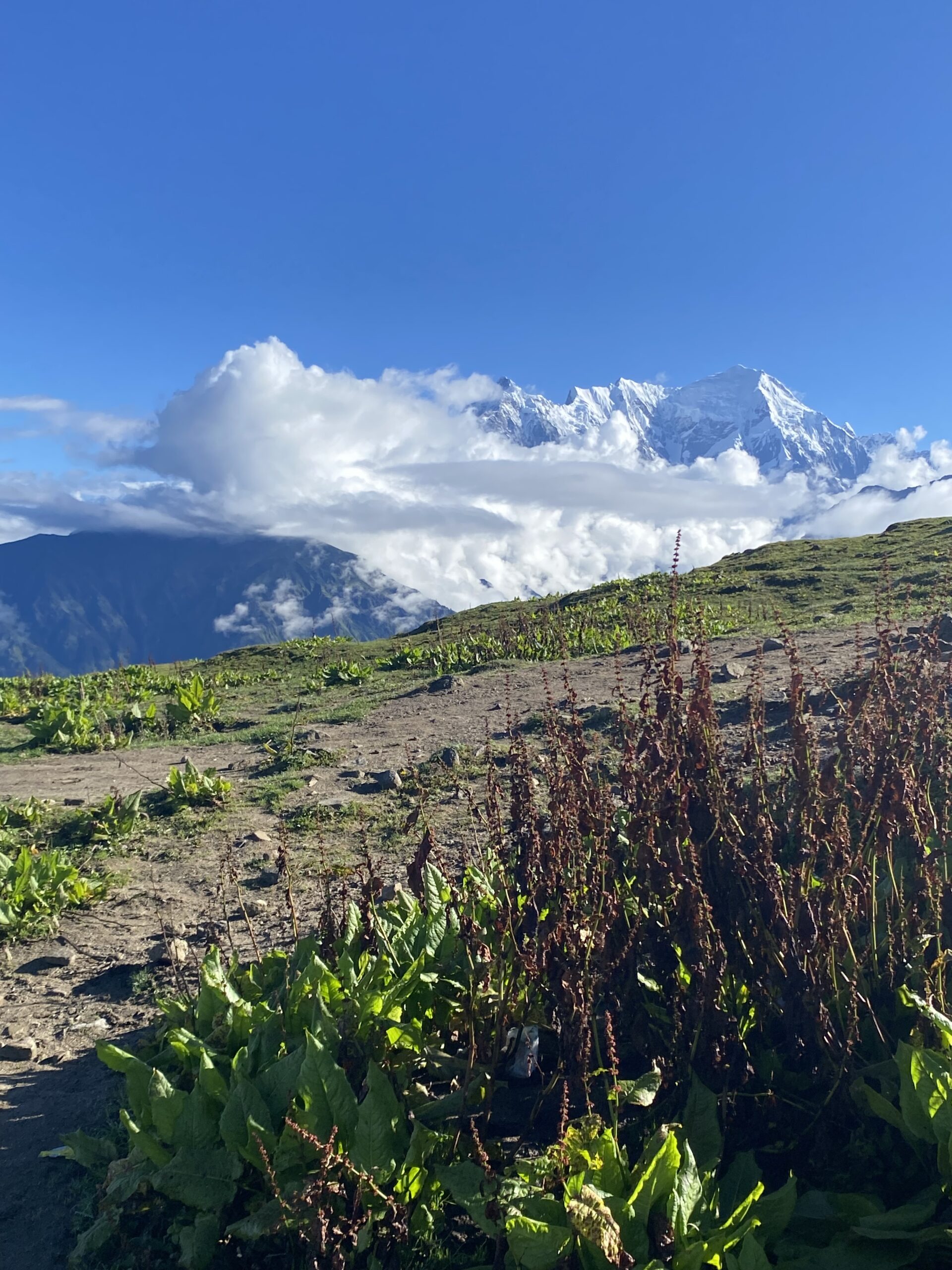 Langtang — trekking per l'Himàlaia del Nepal