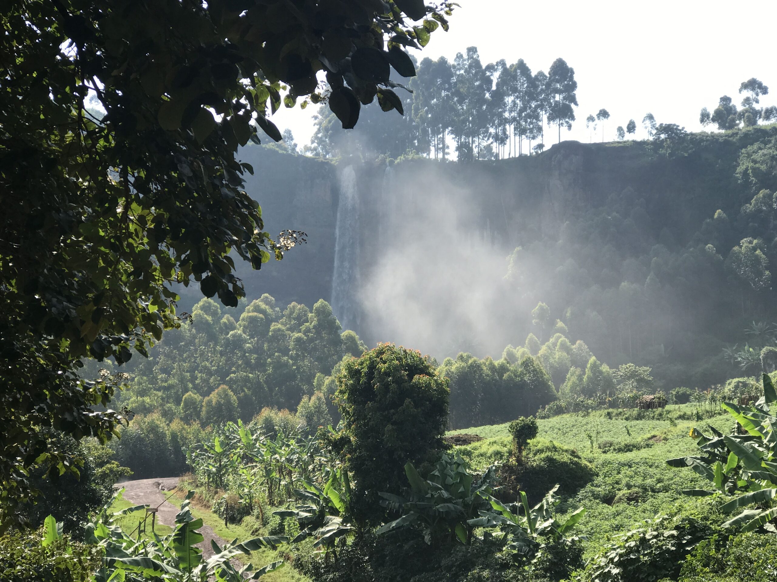 Cascades i natura a Uganda