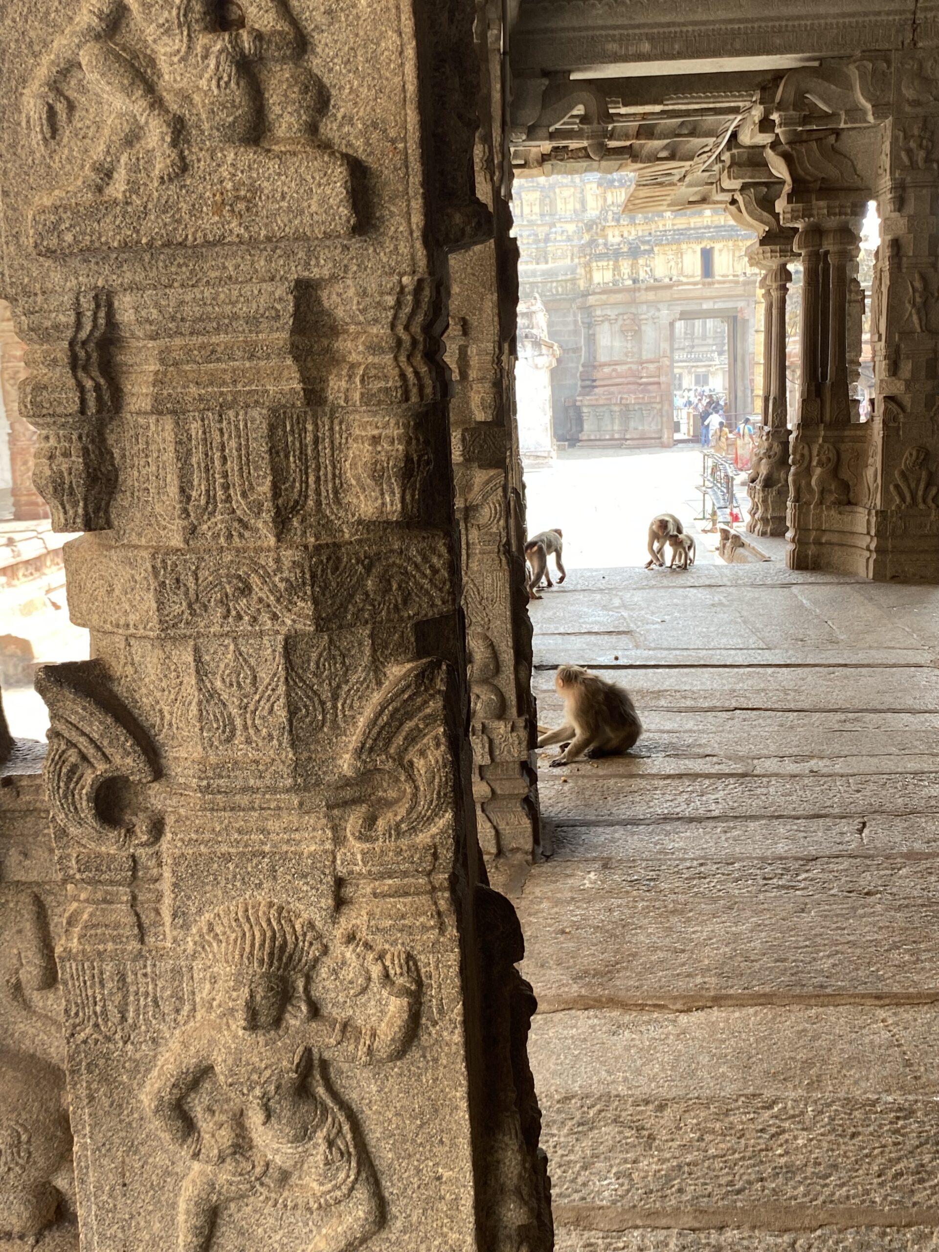 Delhi, capital de la Índia