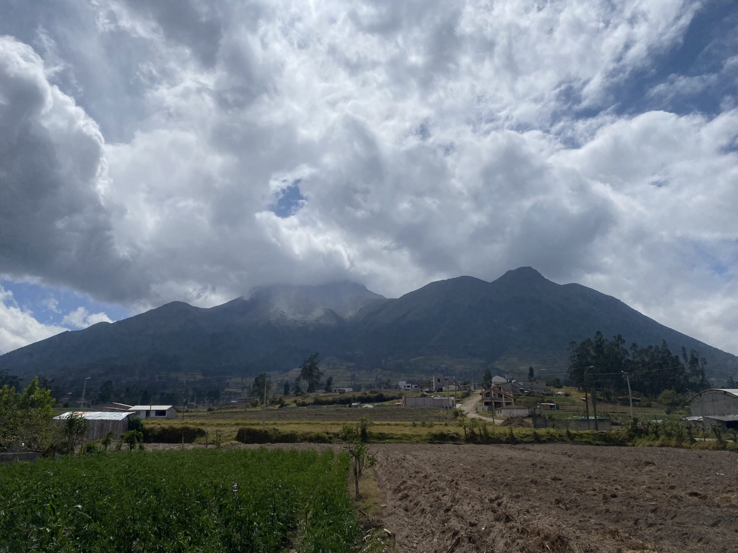 Birdwatching i natura al nord de l'Equador