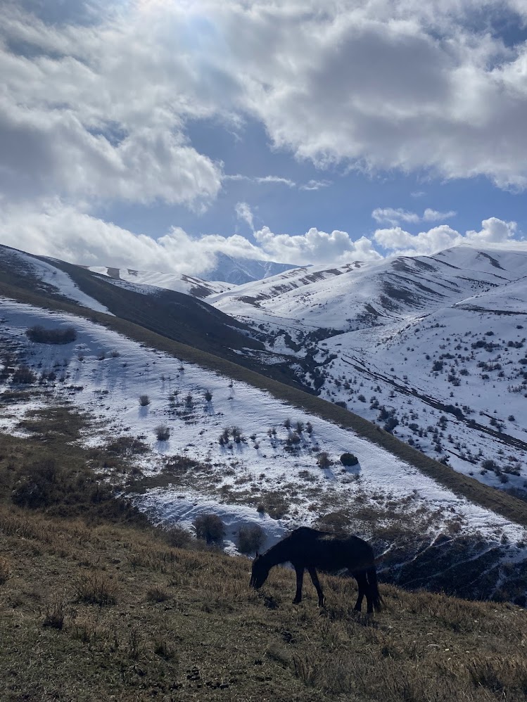 Cavalls i vida rural al Kirguizistan