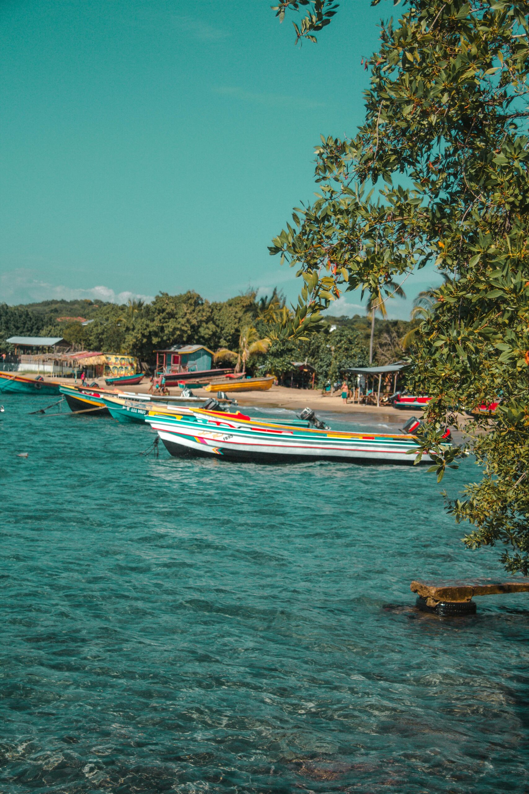 Costa de Jamaica