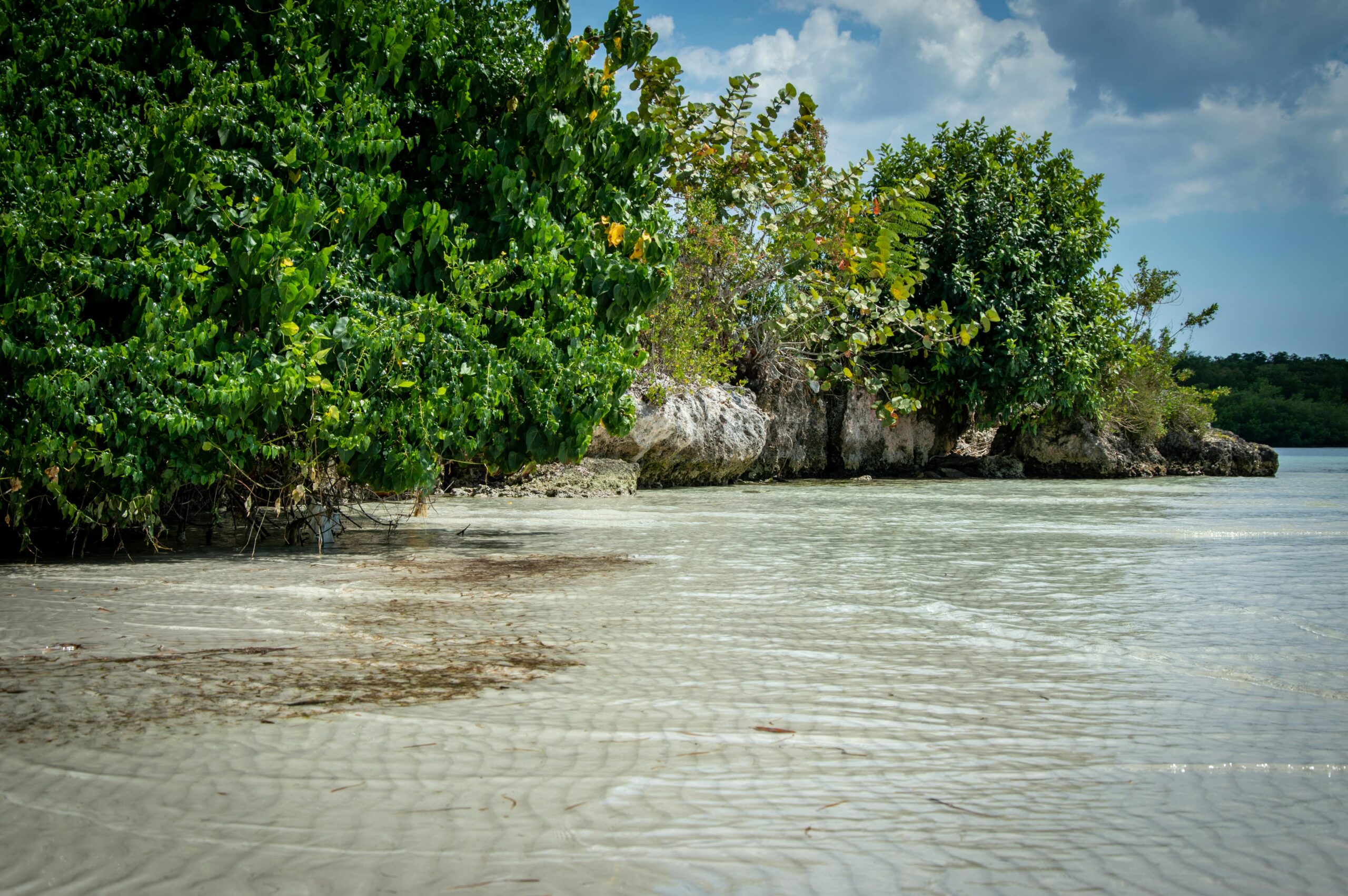 Viatjar a Jamaica — platja i aigües turqueses del Carib