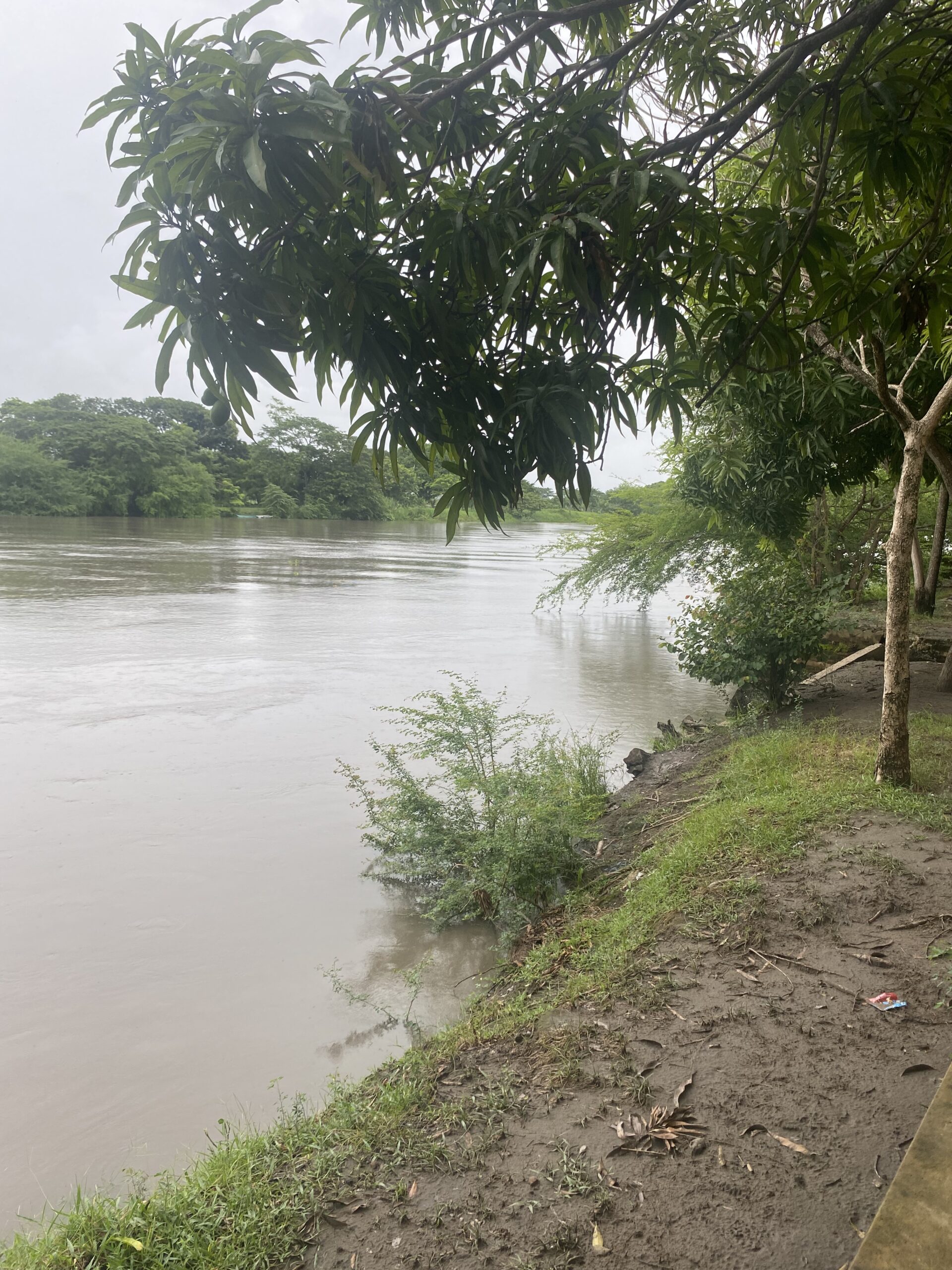 Riu Magdalena al seu pas per Mompox, envoltat de vegetació tropical