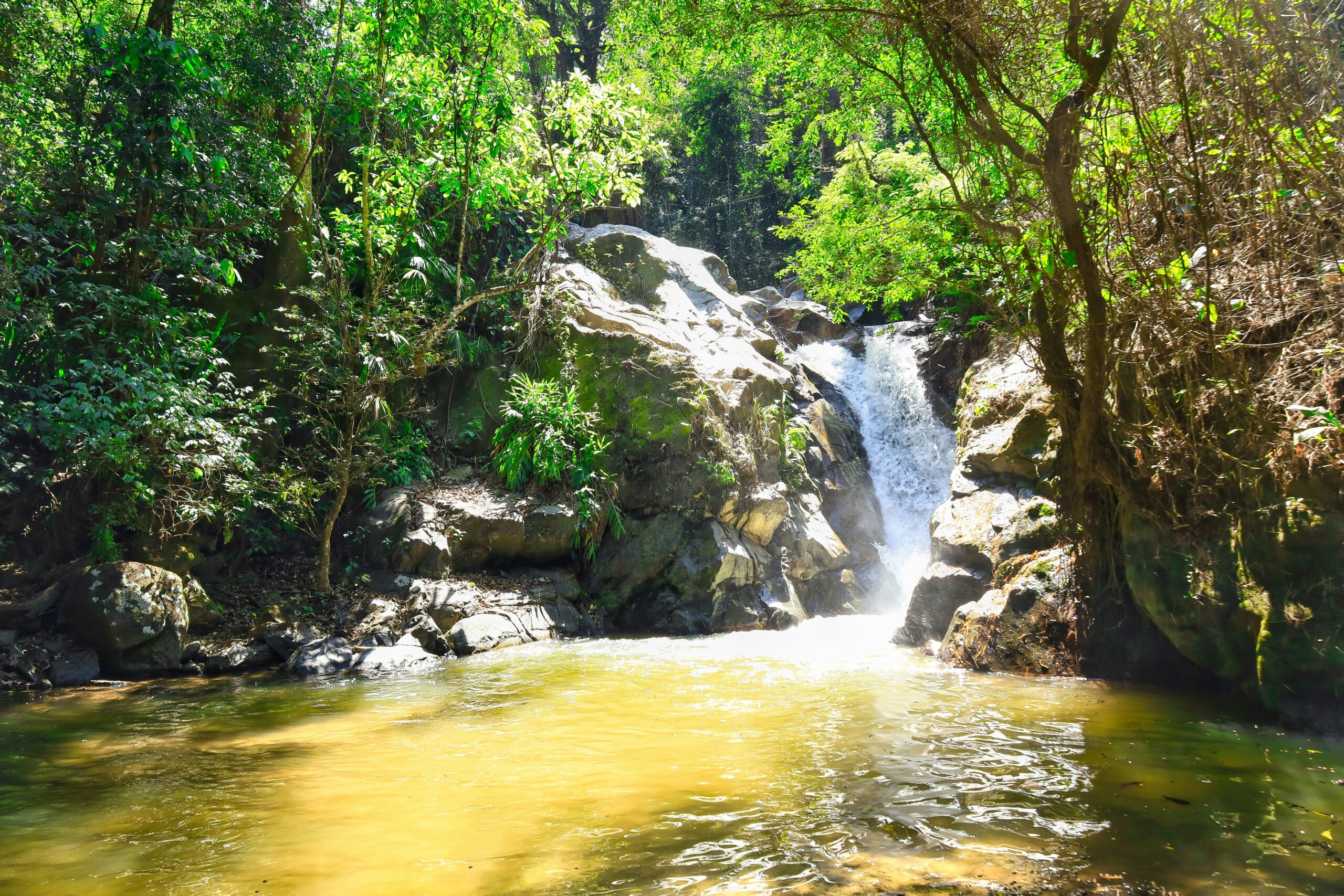 Cascada amagada entre la selva tropical de Minca, a la Sierra Nevada de Santa Marta.