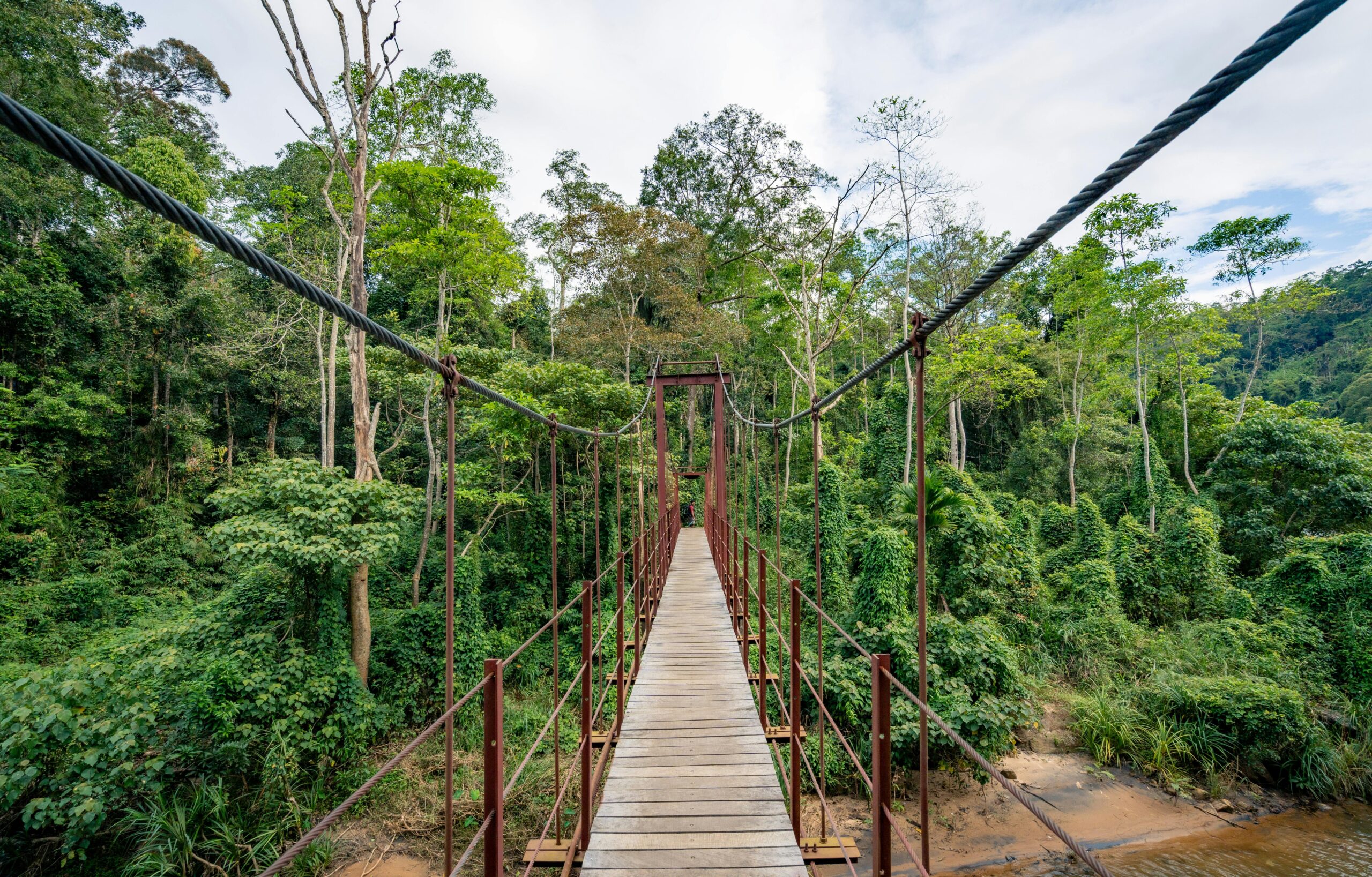 Taman Negara