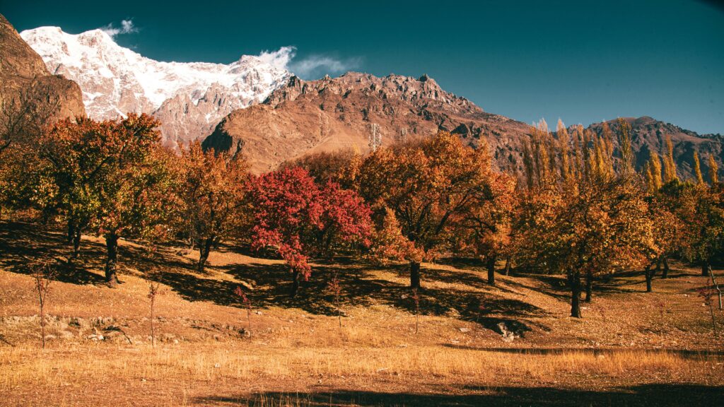 Shigar Fort Baltistan Pakistan