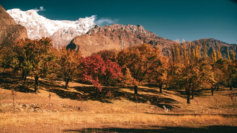 Shigar