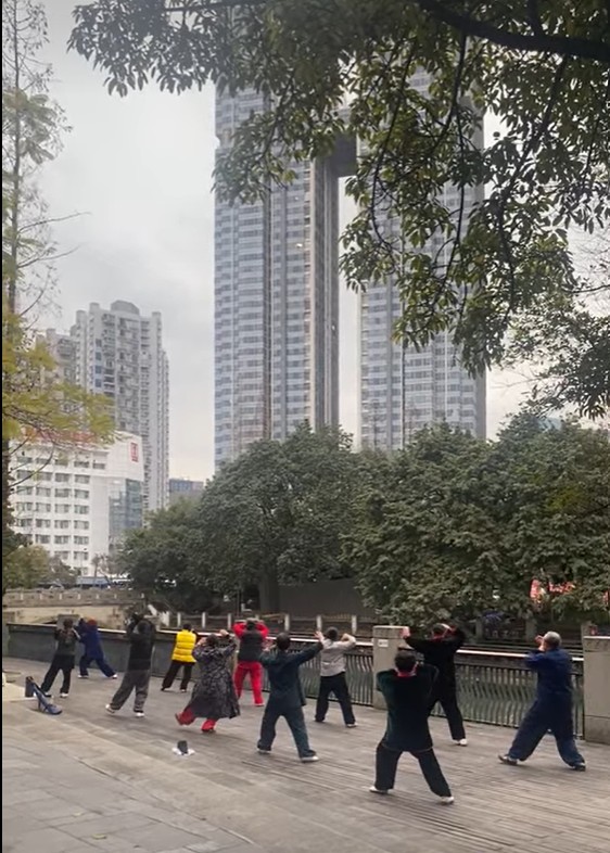 Torres residencials modernes de Chengdu vistes entre els arbres