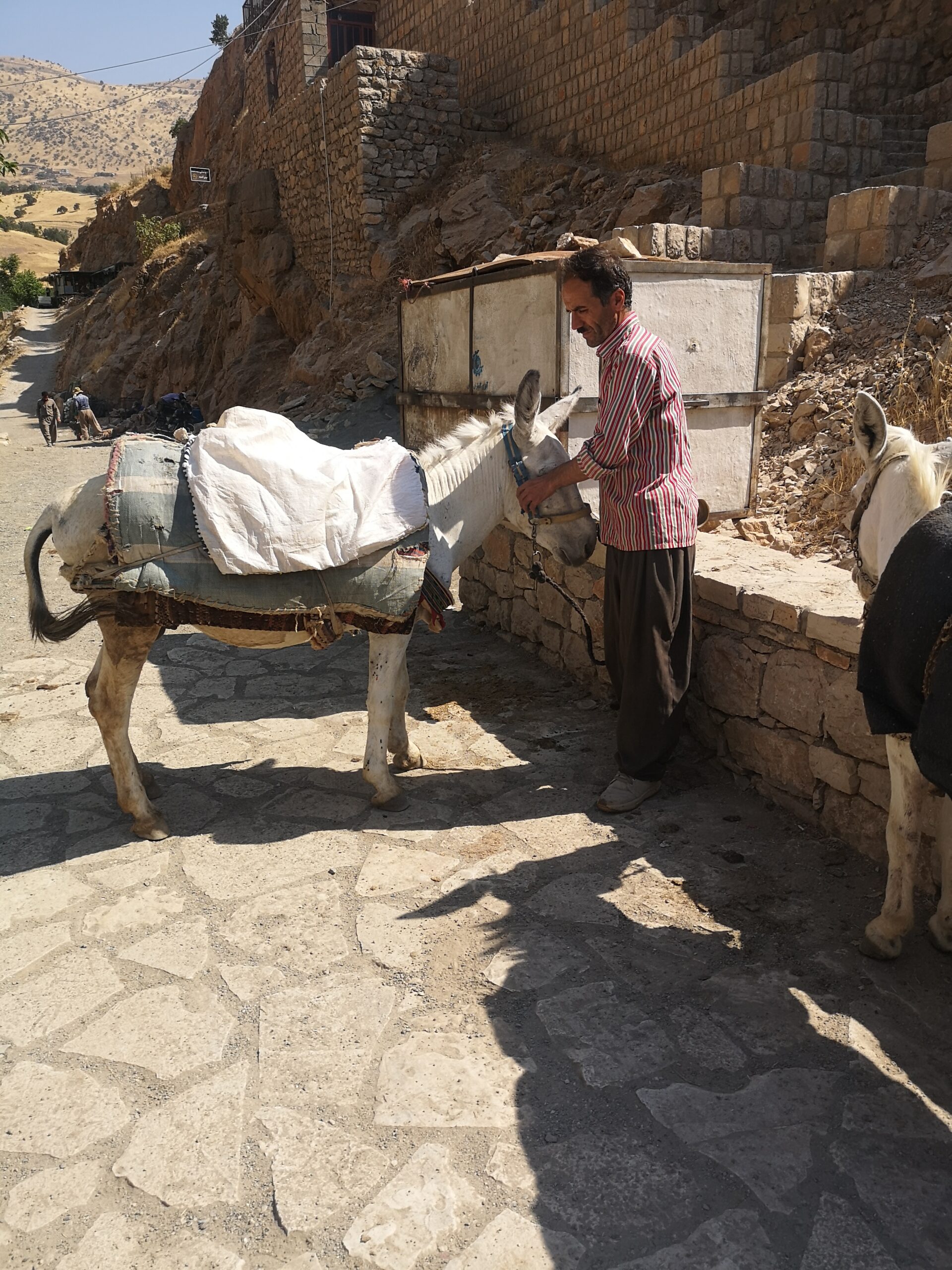 Un ase carregant mercaderies pels carrerons estrets de Kandovan