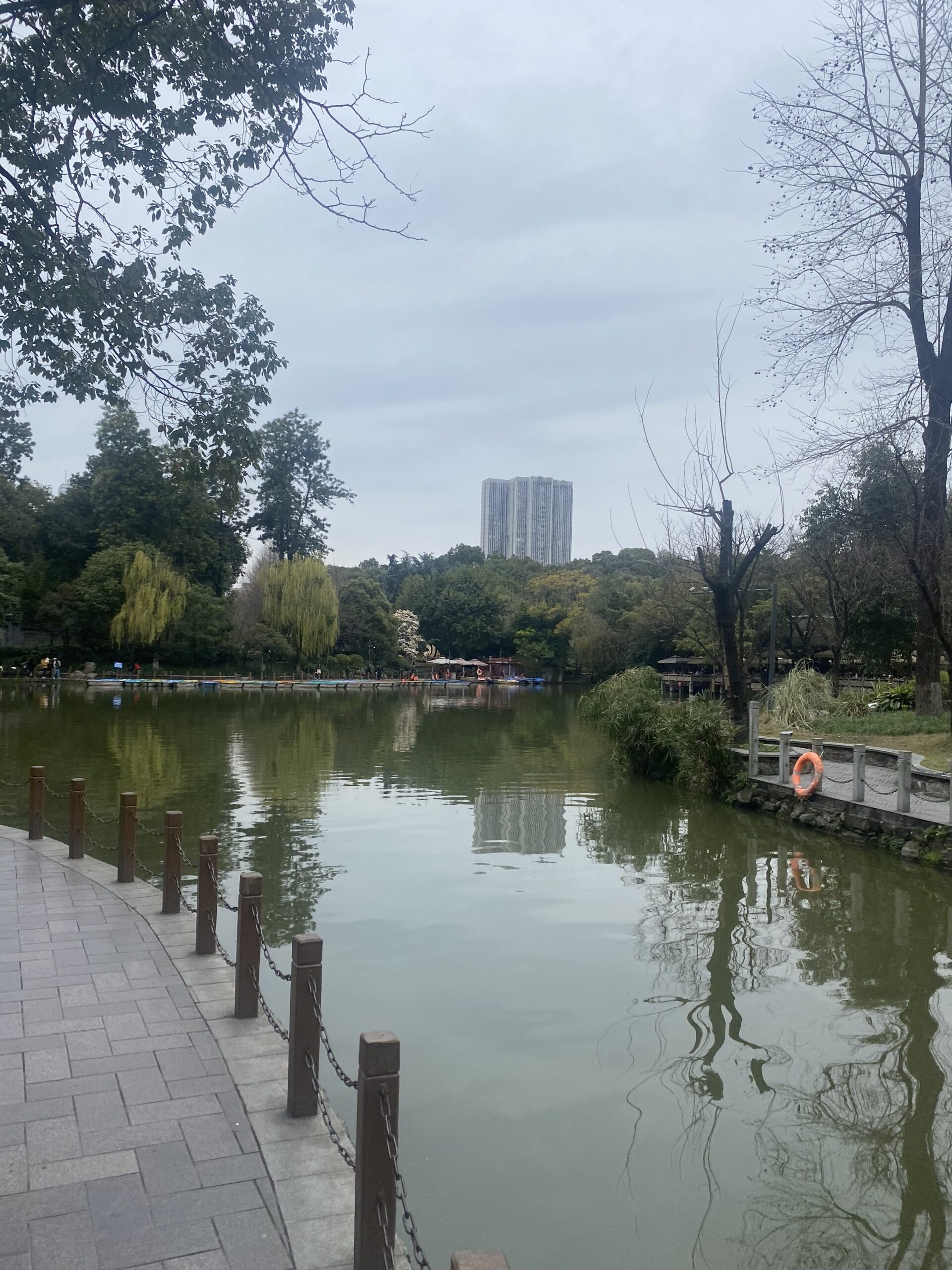 Estany envoltat d'arbres al People's Park de Chengdu, amb gratacels al fons