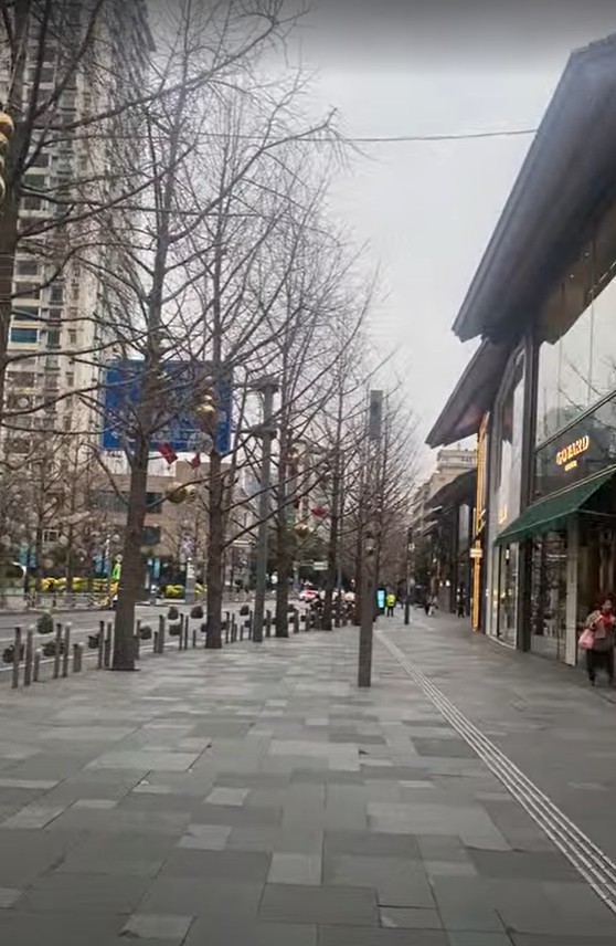 Carrer comercial del centre de Chengdu amb botigues i arbres d'hivern