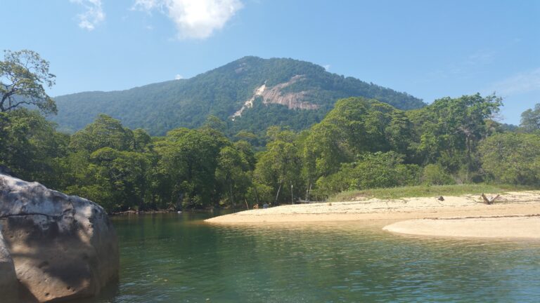 Badia d’aigua turquesa amb platja, palmeres i muntanyes cobertes de selva a l’illa de Tioman
