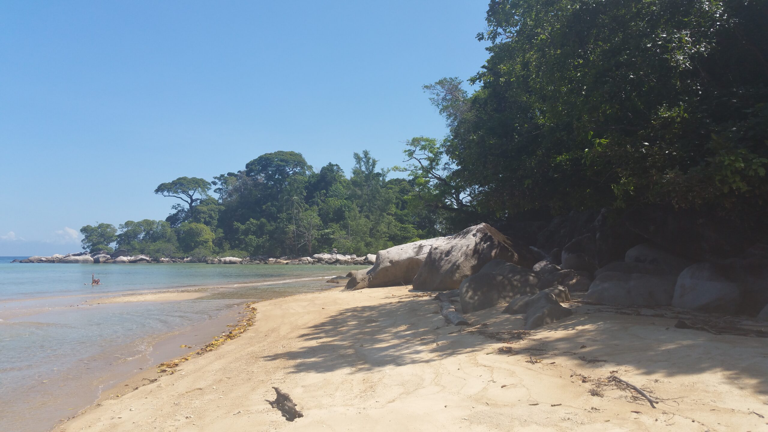 Platja de sorra clara envoltada de vegetació tropical a l'illa de Tioman, Malàisia