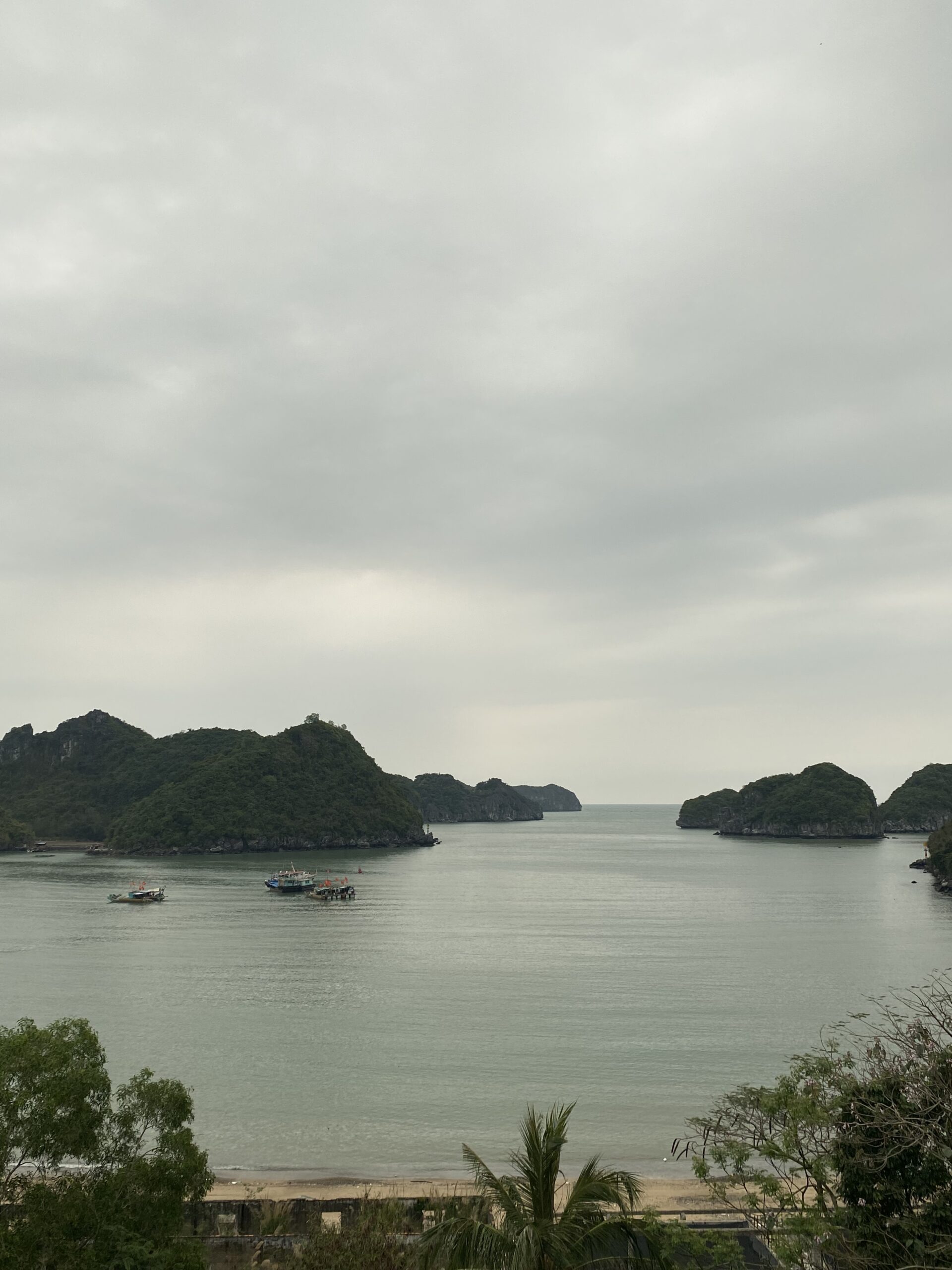 Illots kàrstics a la badia de Lan Ha vistos des de Cat Ba, Vietnam