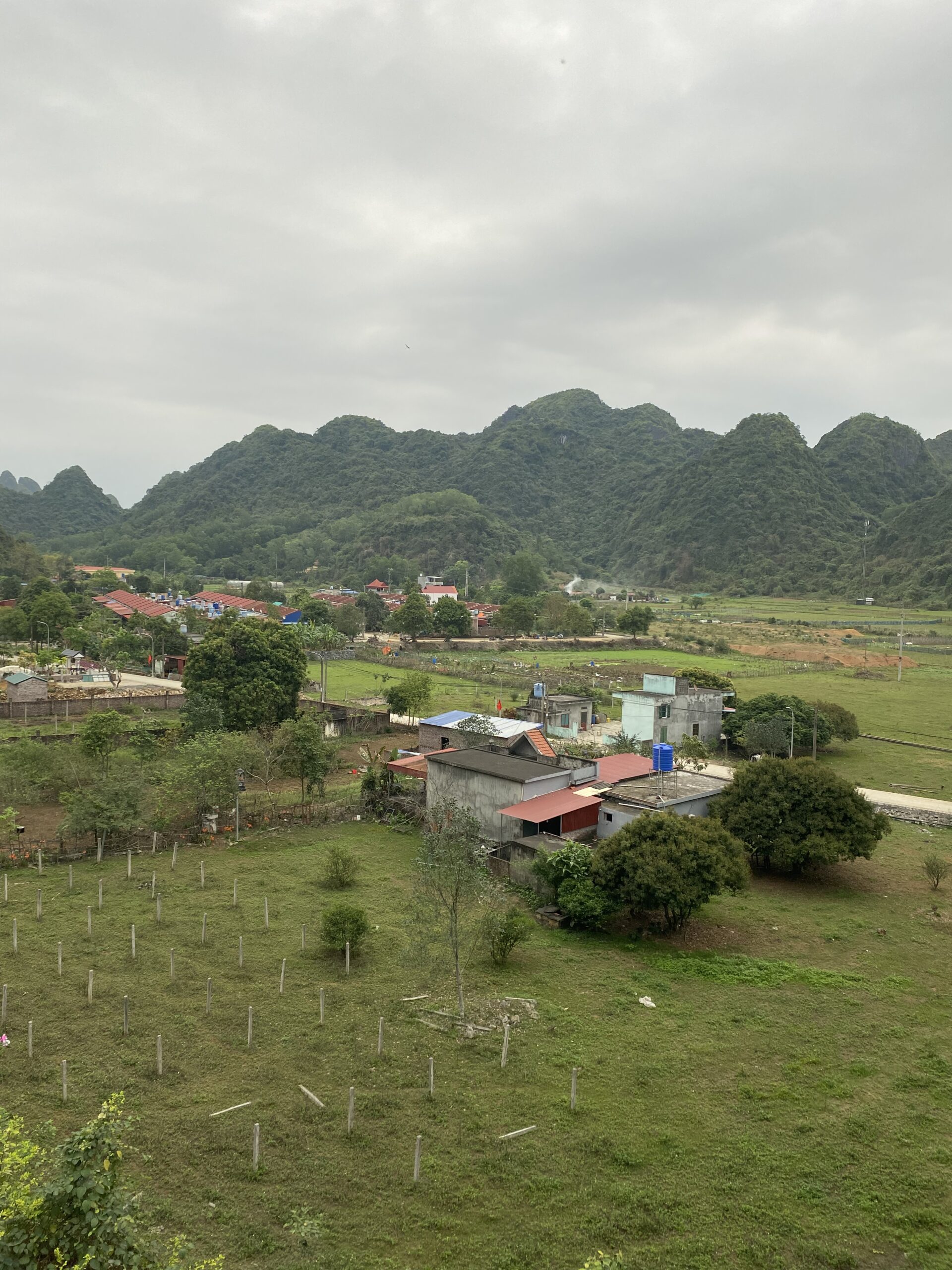 Vista elevada d'un poble amb camps de conreu a l'illa de Cat Ba, Vietnam