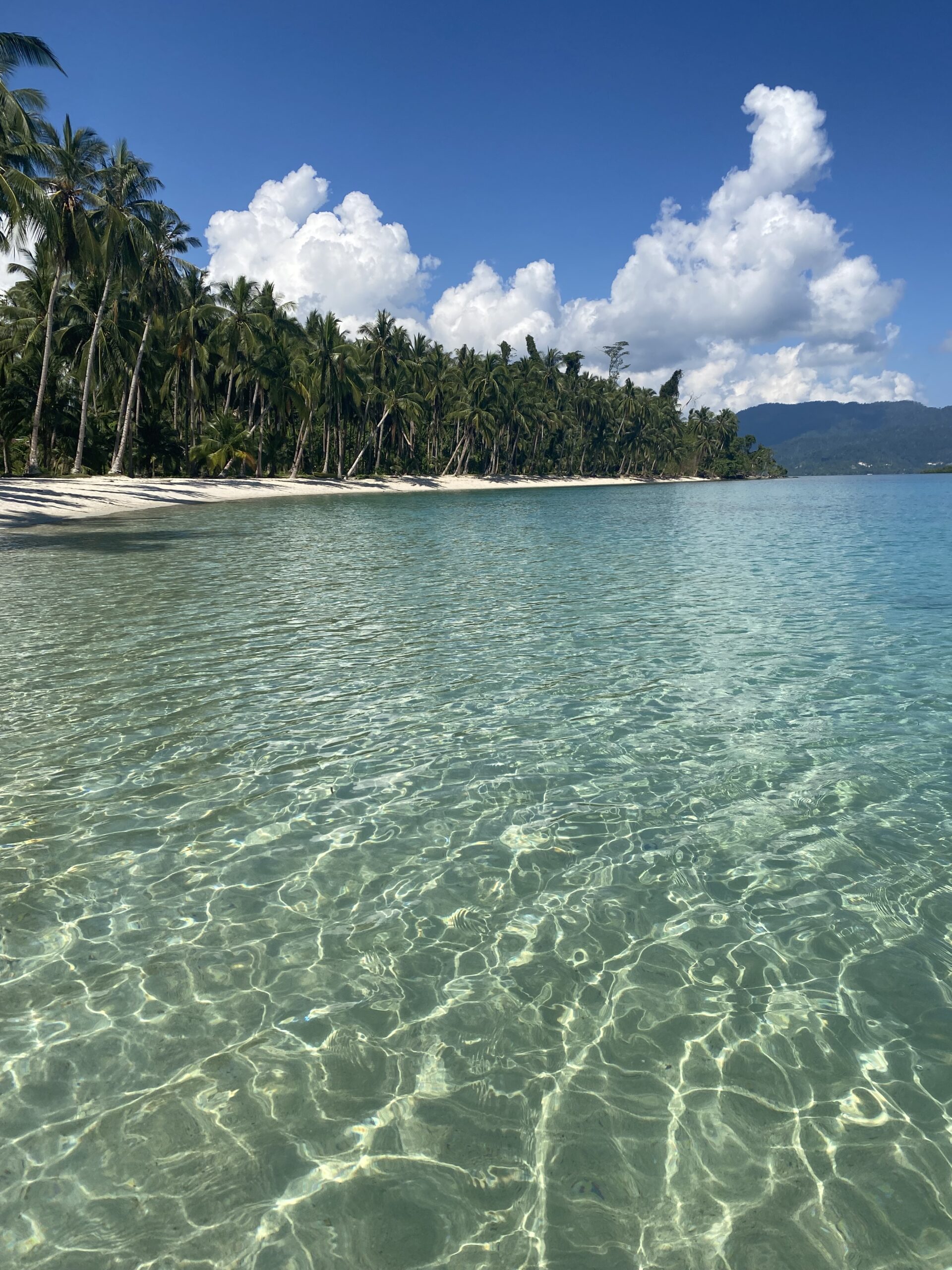 Platja d'aigües transparents envoltada de palmeres a Port Barton, Palawan, Filipines.