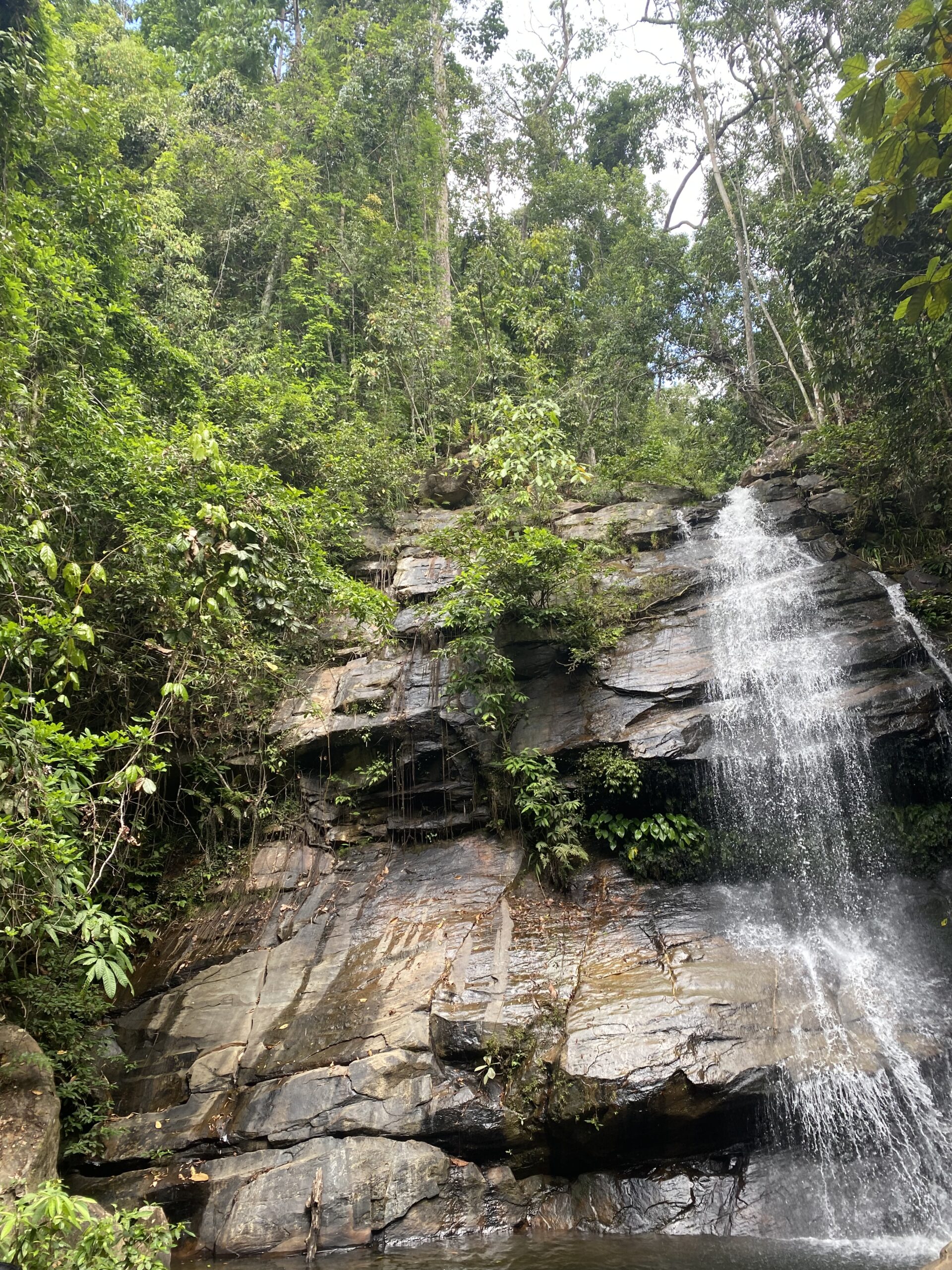 Cascada envoltada de vegetació tropical a prop de Port Barton, Palawan.
