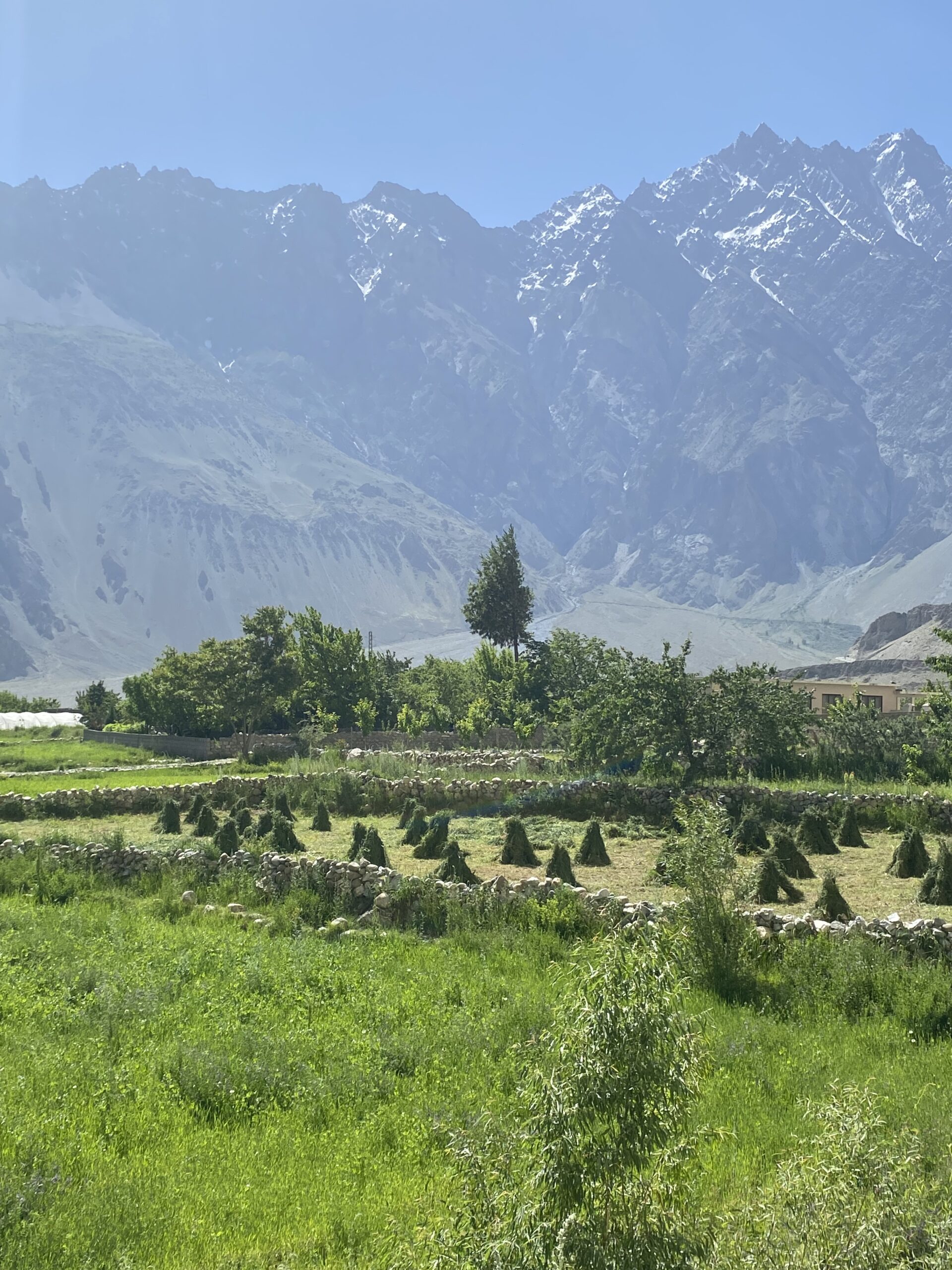 Camps verds de Passu envoltats de cims nevats del Karakoram