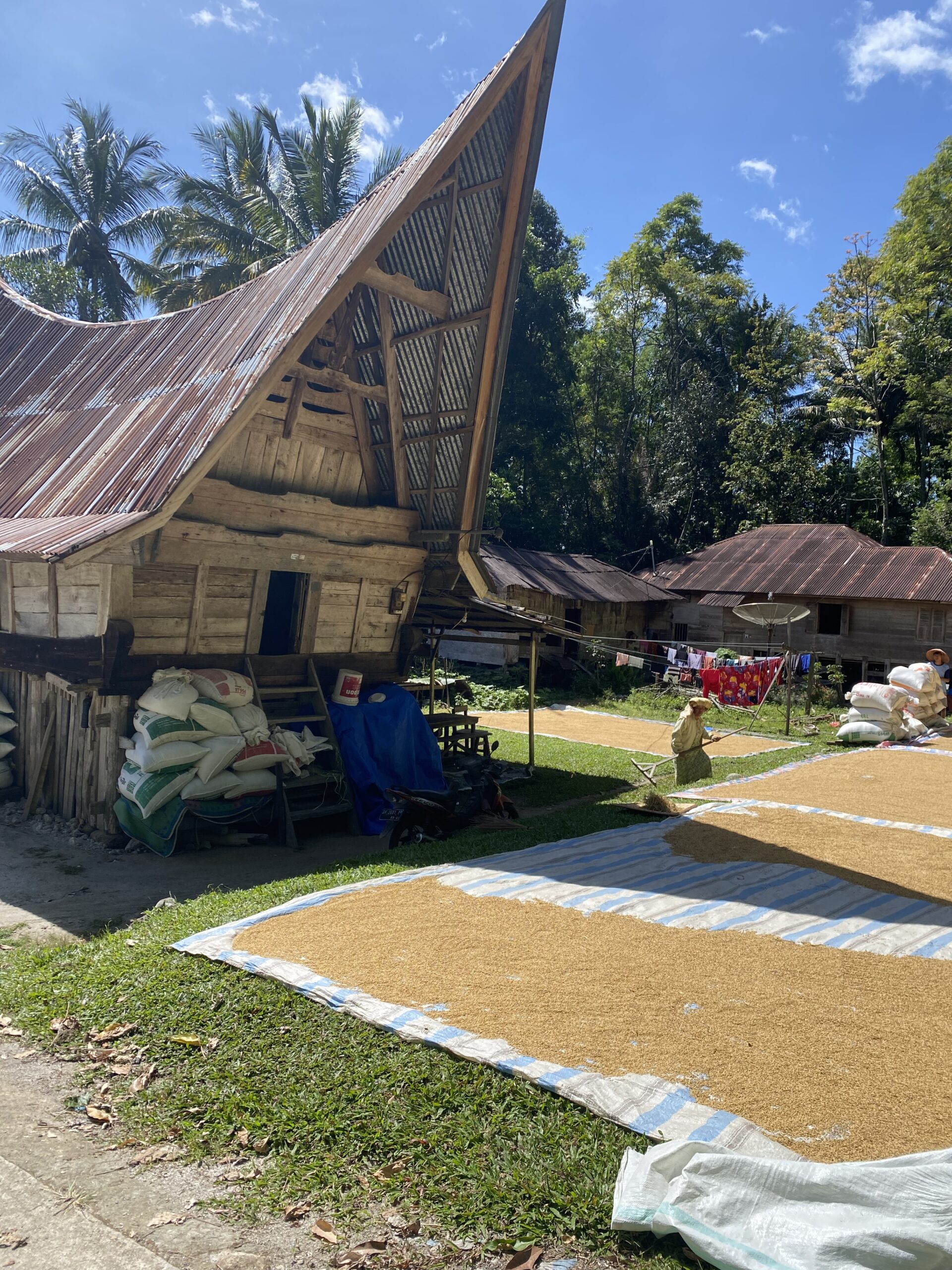 Casa tradicional Batak de teulada corba a Samosir