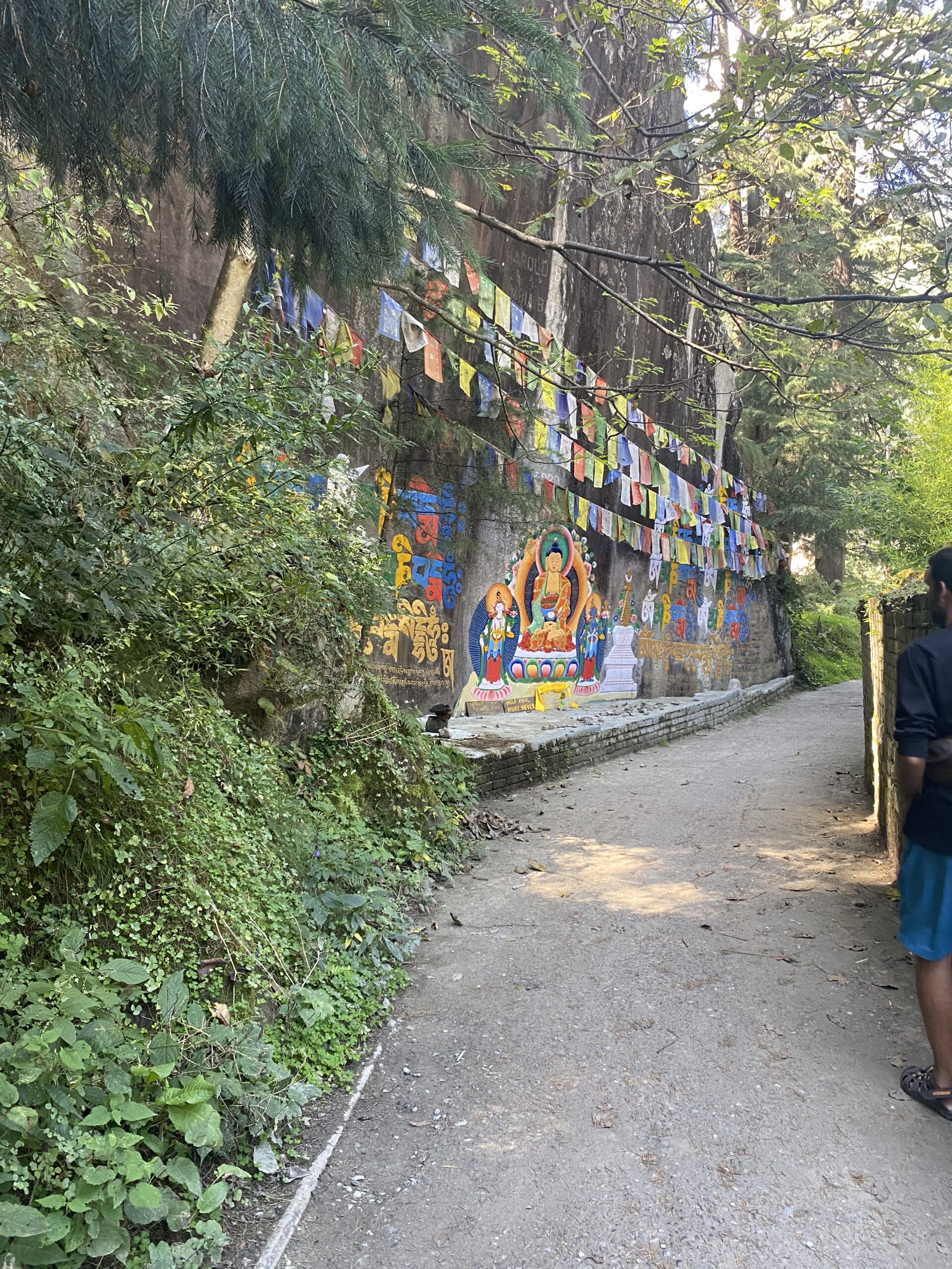 Camí envoltat de vegetació i banderes de pregària de colors a Manali, Índia.