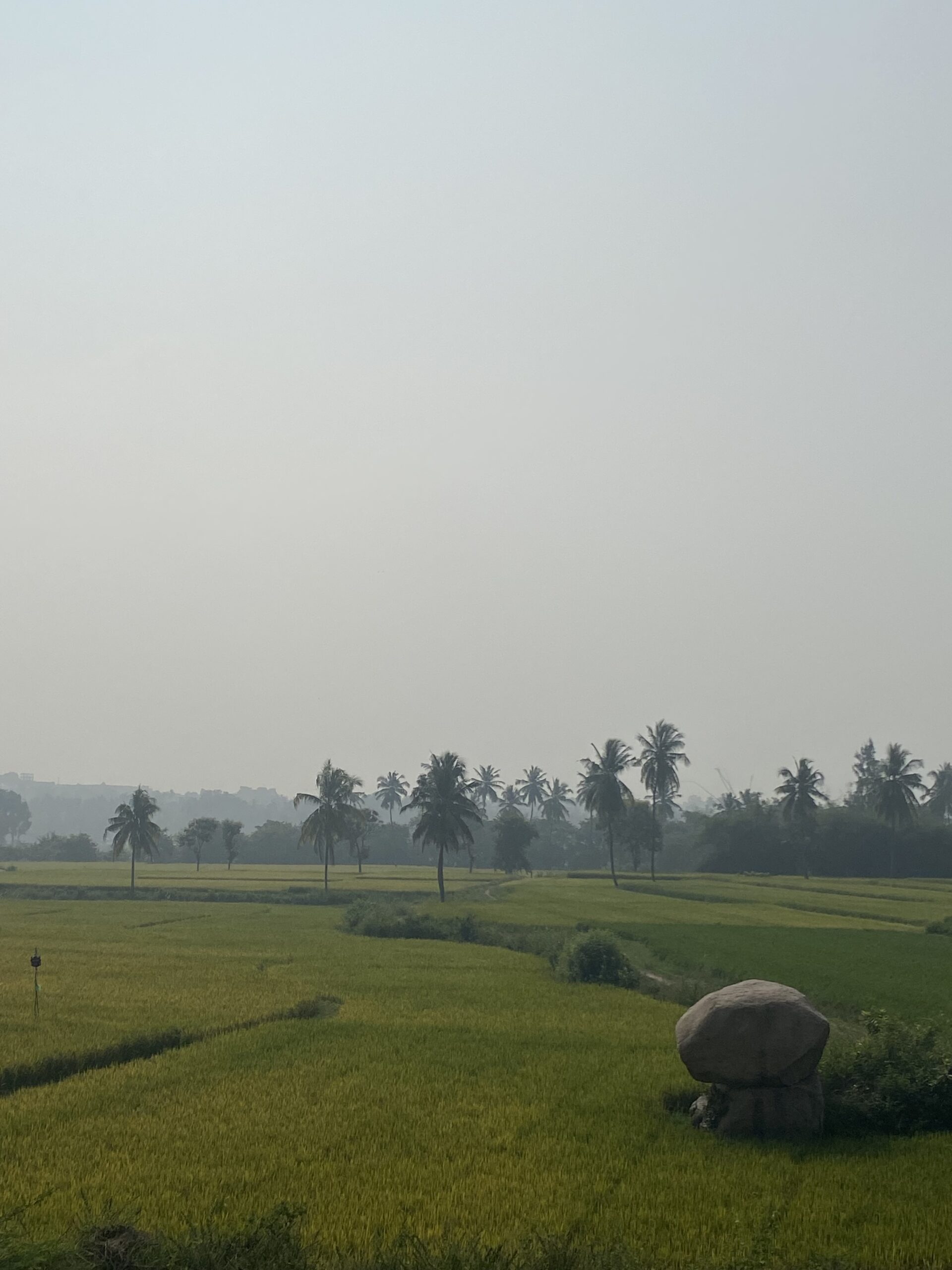 Paisatge tranquil del riu Tungabhadra envoltat de palmeres i vegetació als voltants de Hampi.