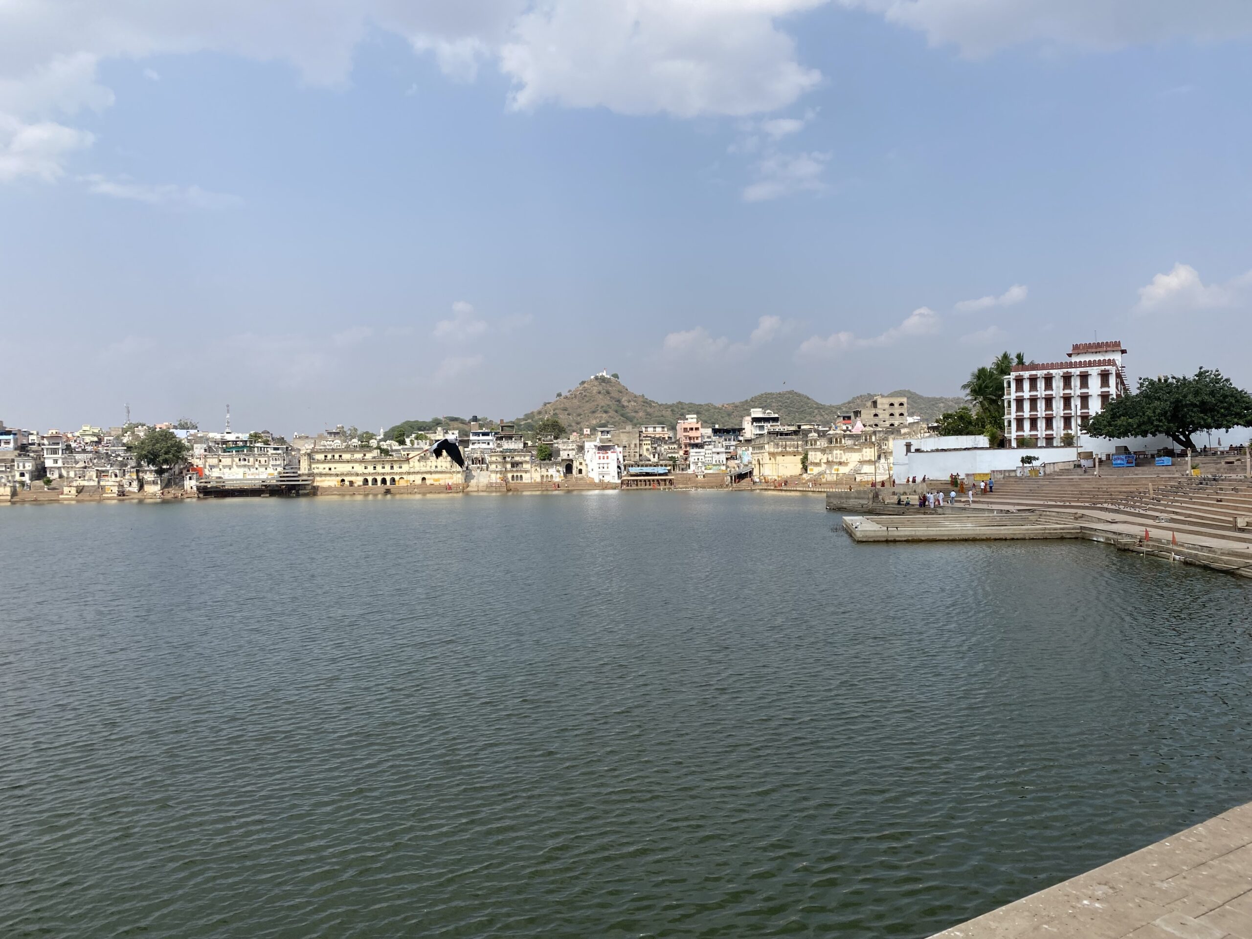 Vista del llac sagrat de Pushkar envoltat de ghats i edificis blancs, Rajasthan.