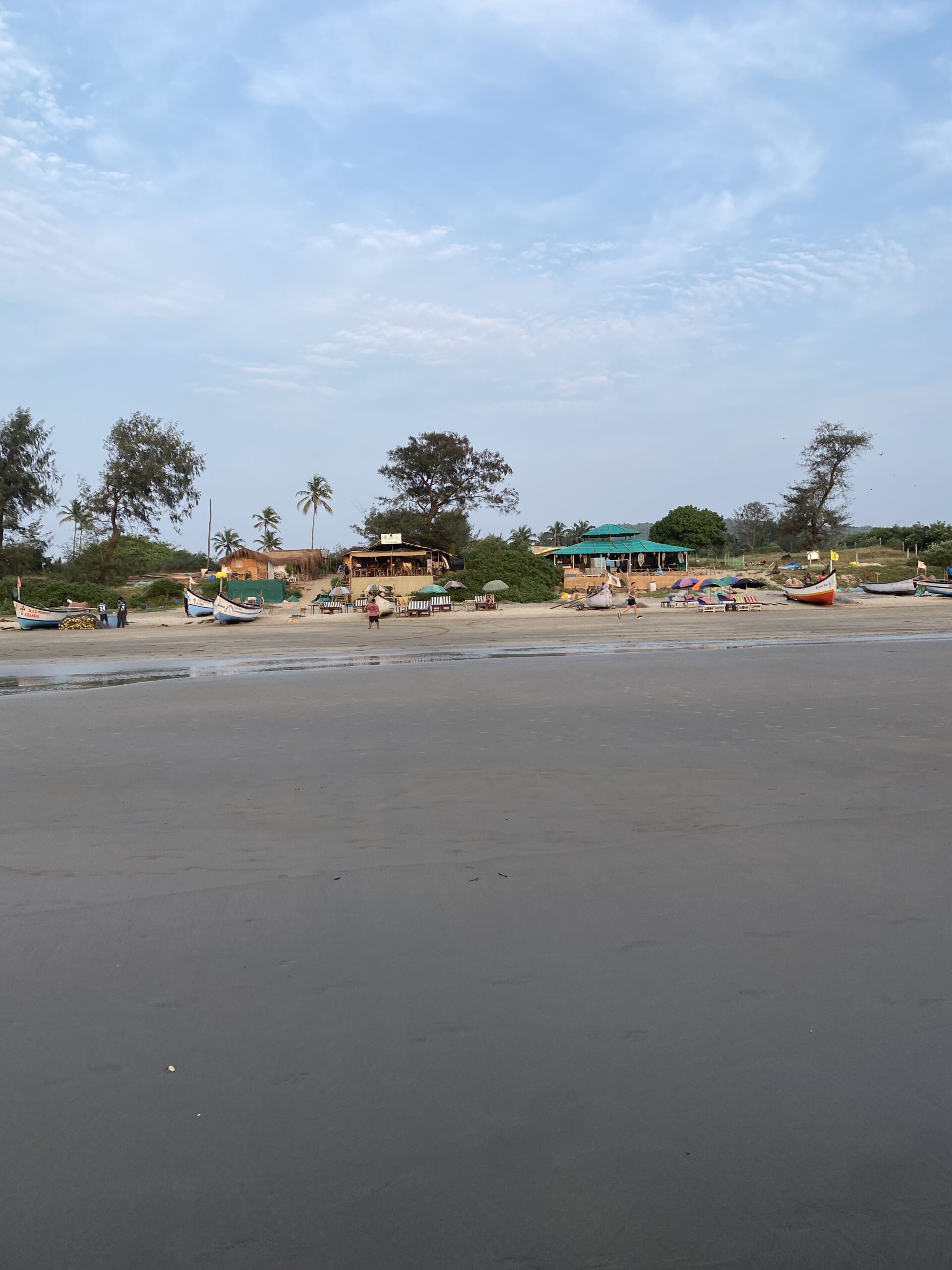 Extensa platja de sorra d’Arambol amb petites embarcacions i vegetació al nord de Goa.