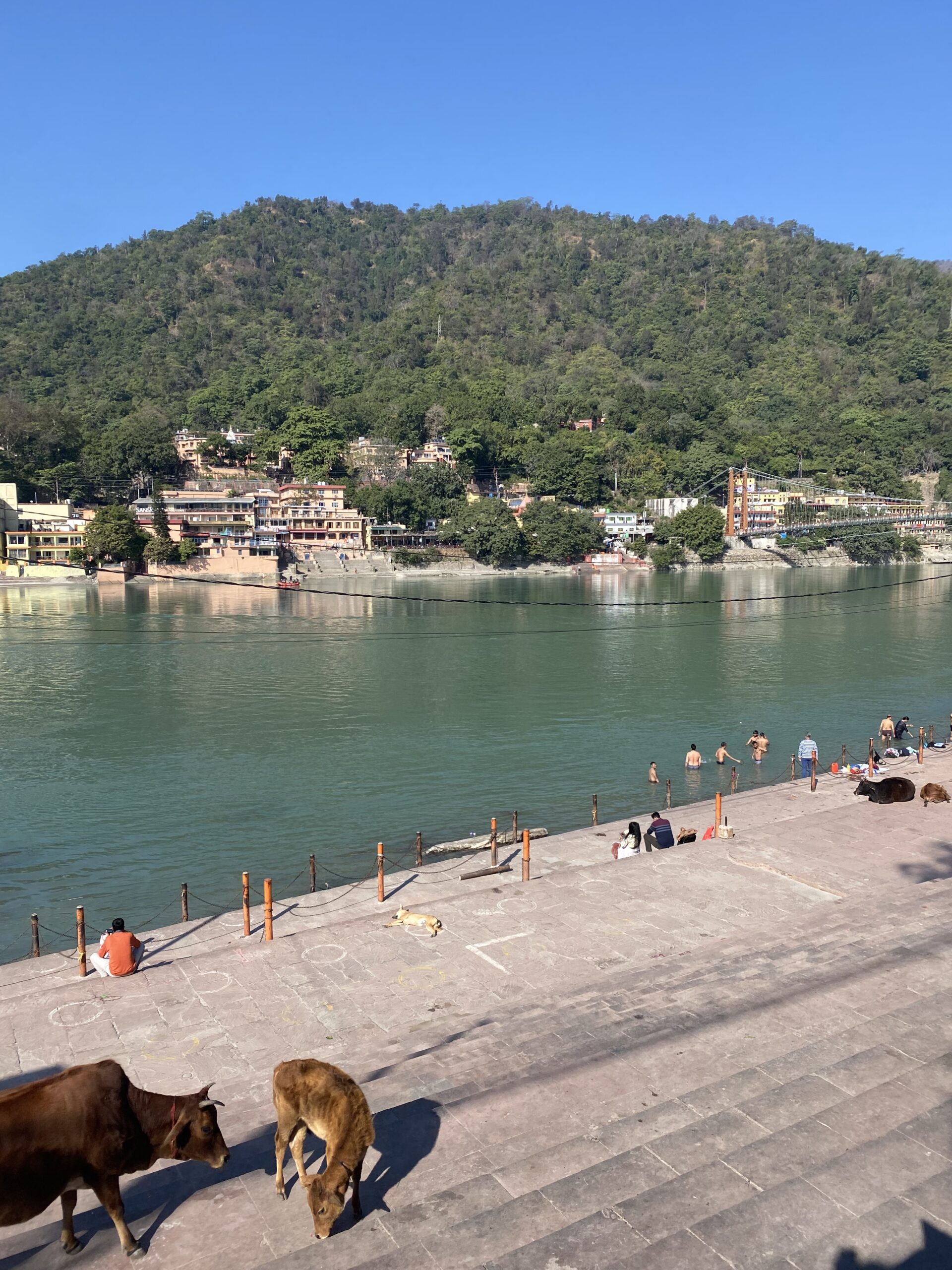 Ghats a la riba del riu Ganges amb Ram Jhula i les muntanyes verdes de Rishikesh al fons, Índia.