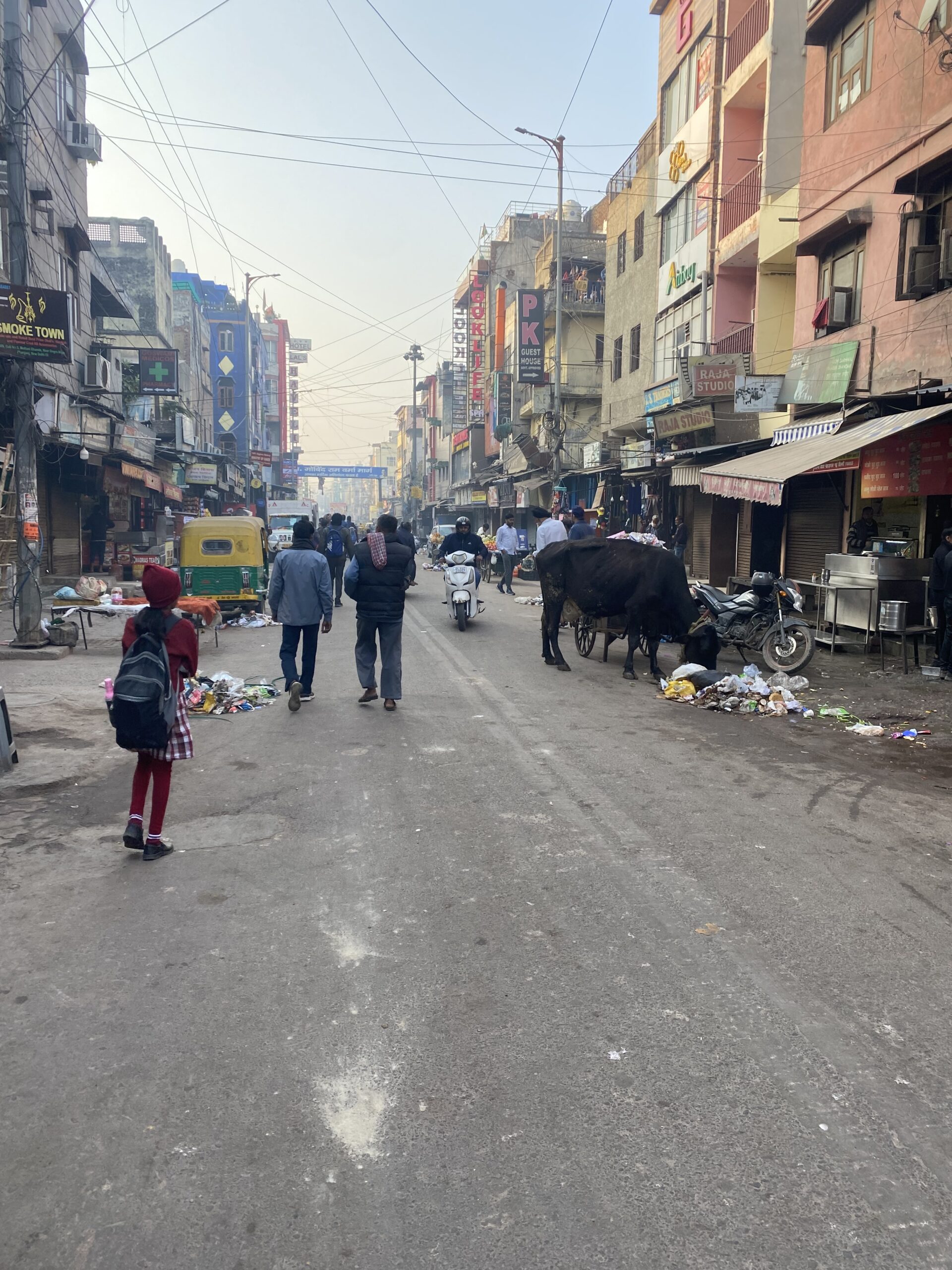 Vianants, comerços i vaques en un carrer del centre històric d'Old Delhi, Índia