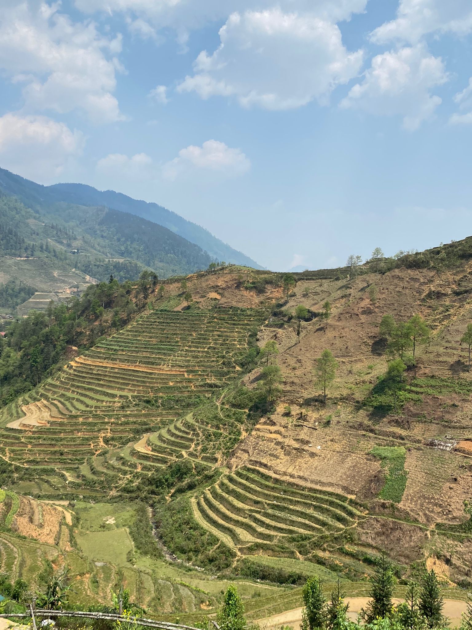 Vessant de muntanya amb terrasses de conreu prop de Sapa, Vietnam