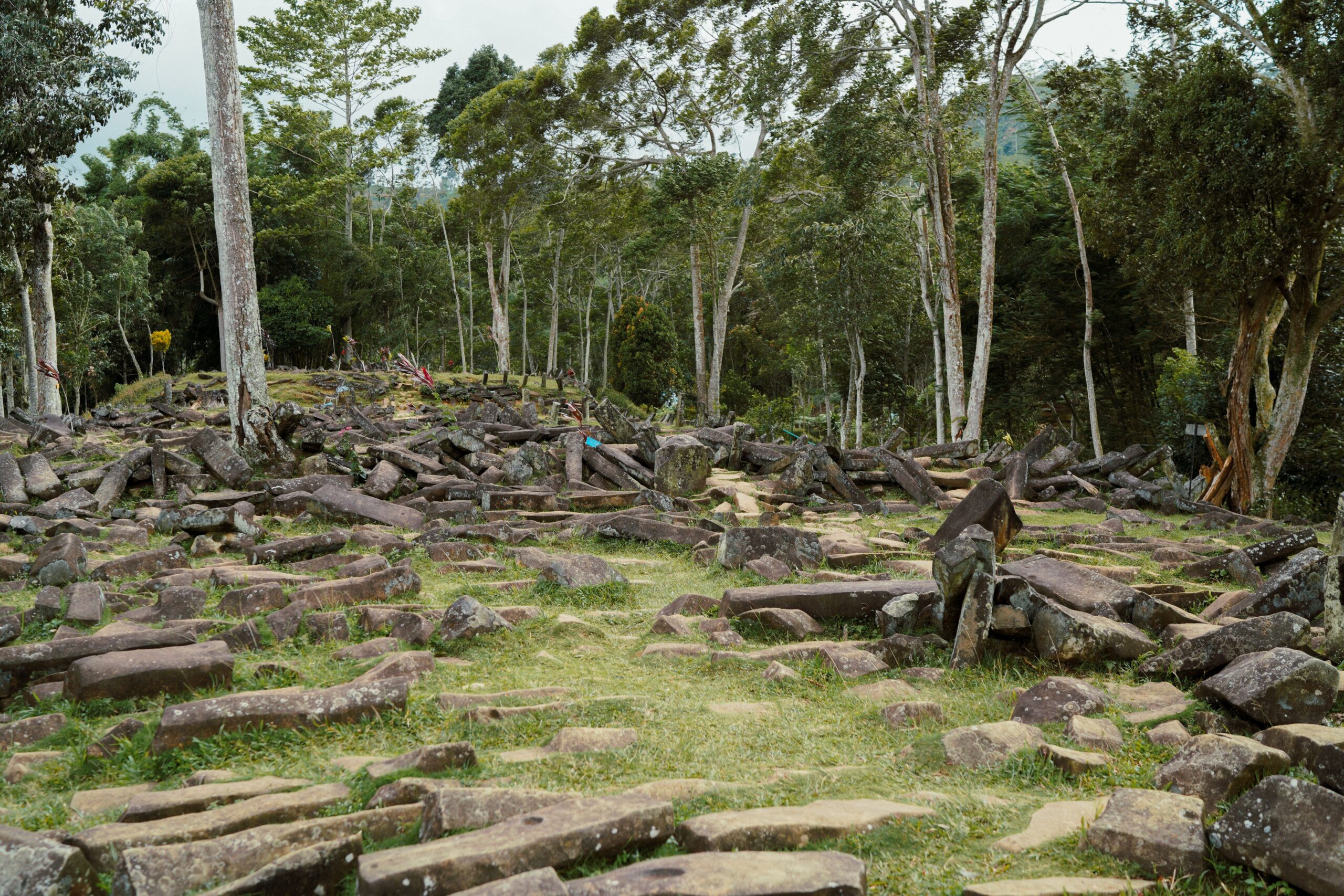 Jaciment arqueològic de San Agustín Restes arqueològiques i escultures de pedra envoltades de palmeres a San Agustín
