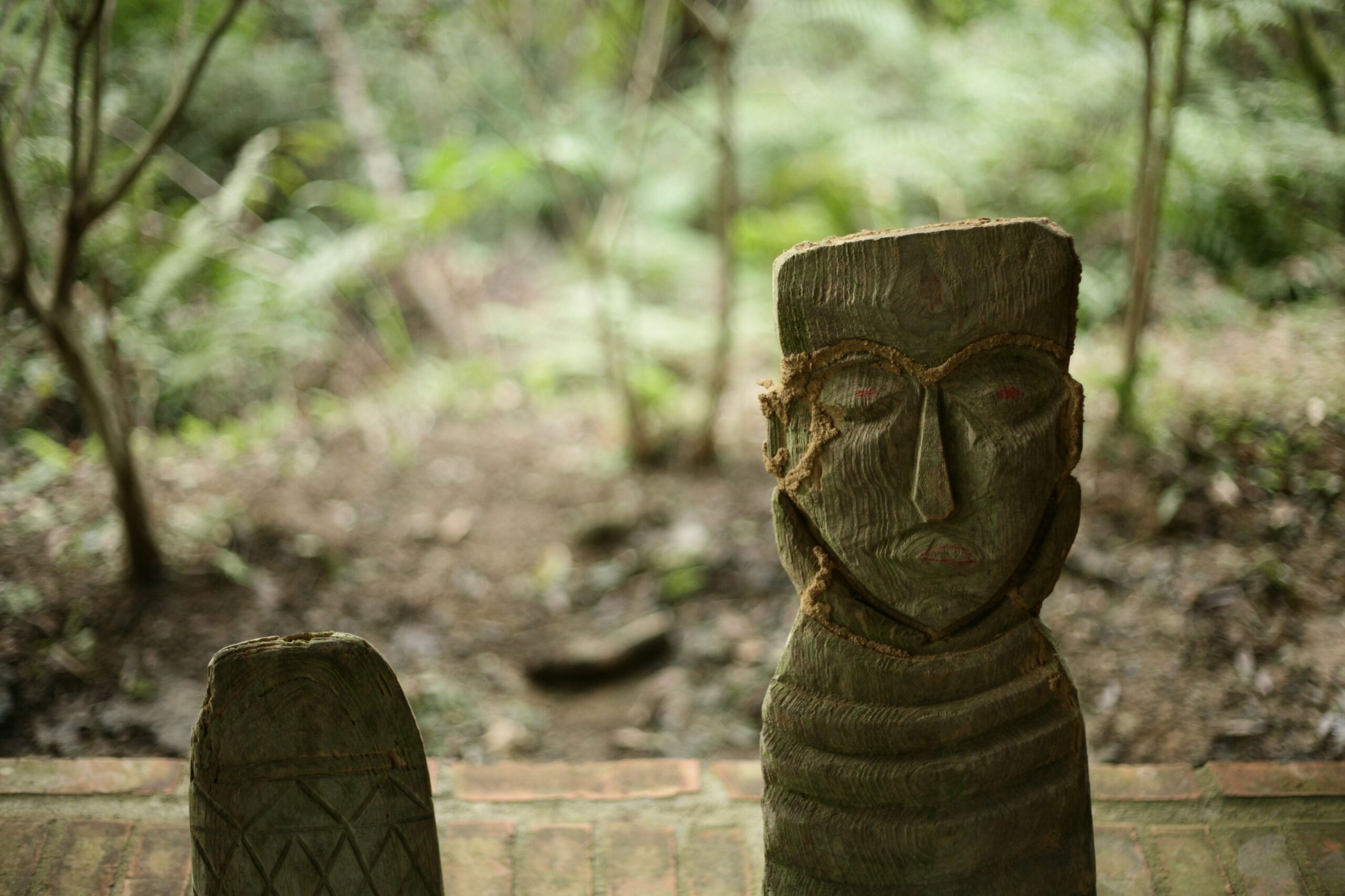 Estàtua precolombina entre la vegetació Petita escultura precolombina de pedra envoltada pel bosc de San Agustín