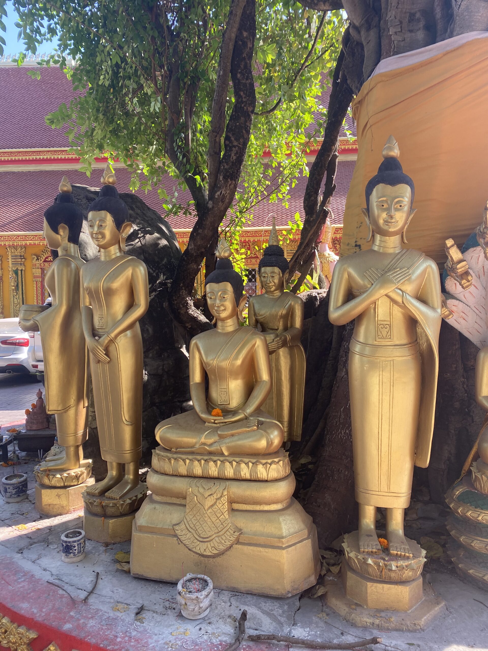 Conjunt d'estàtues daurades de Buda al voltant d'un arbre en un temple de Vientiane