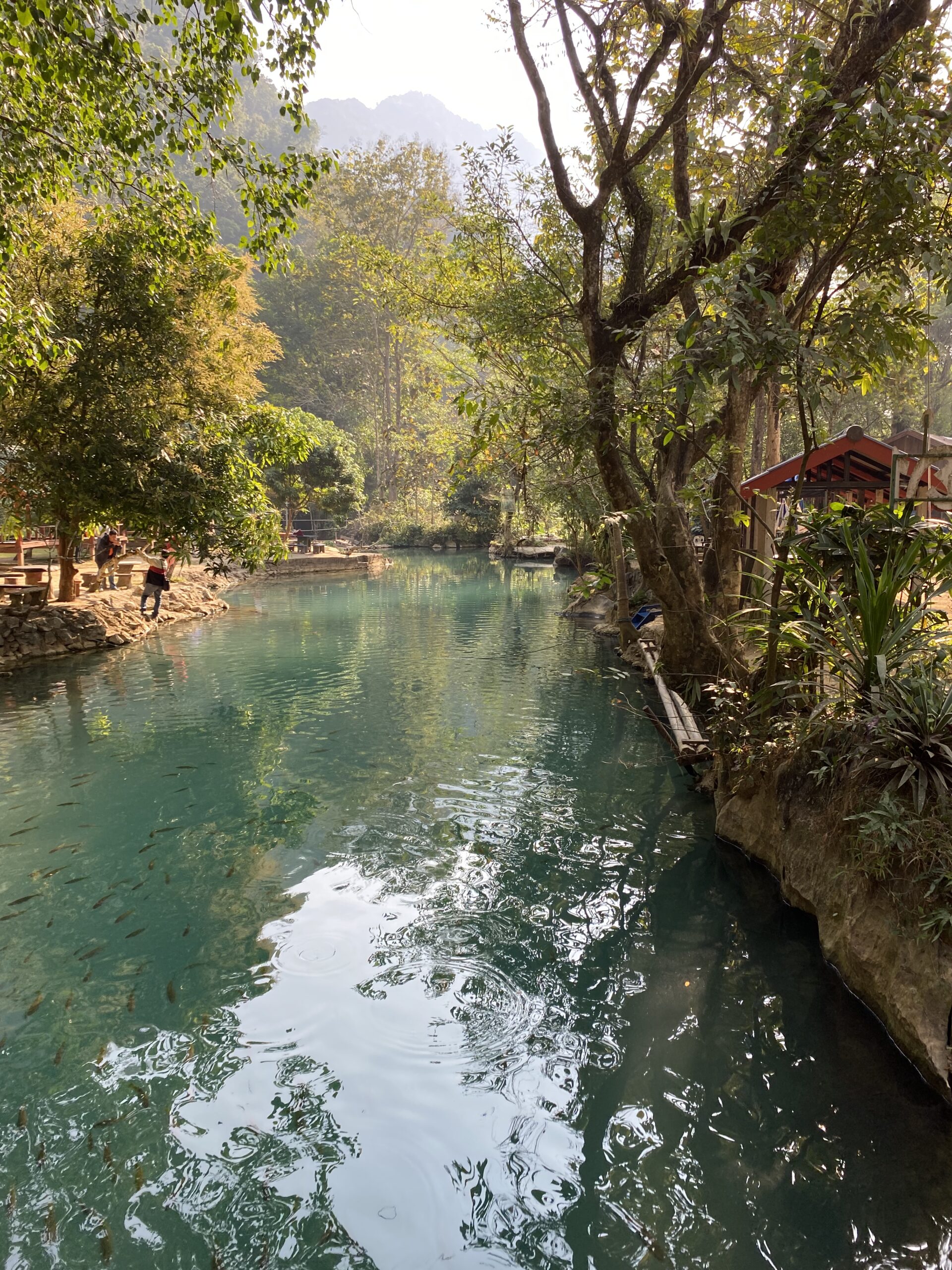 Aigua turquesa d'una Blue Lagoon envoltada d'arbres a Vang Vieng