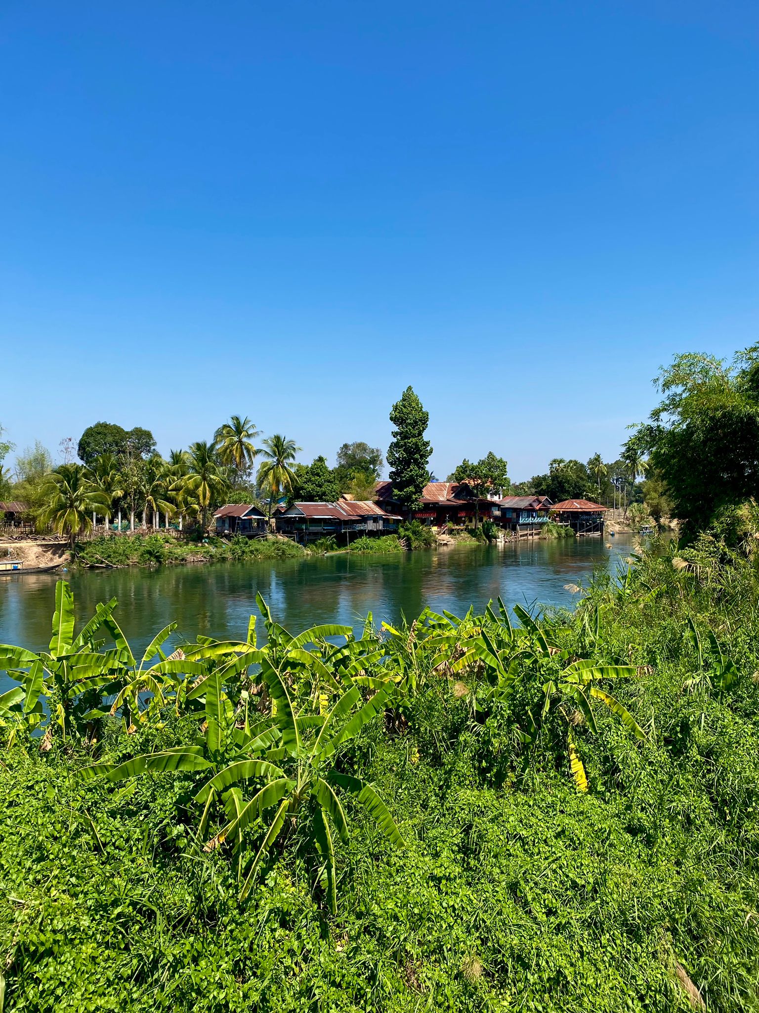 Riba verda del Mekong amb cases i bungalows de fusta sota el cel blau a Don Det