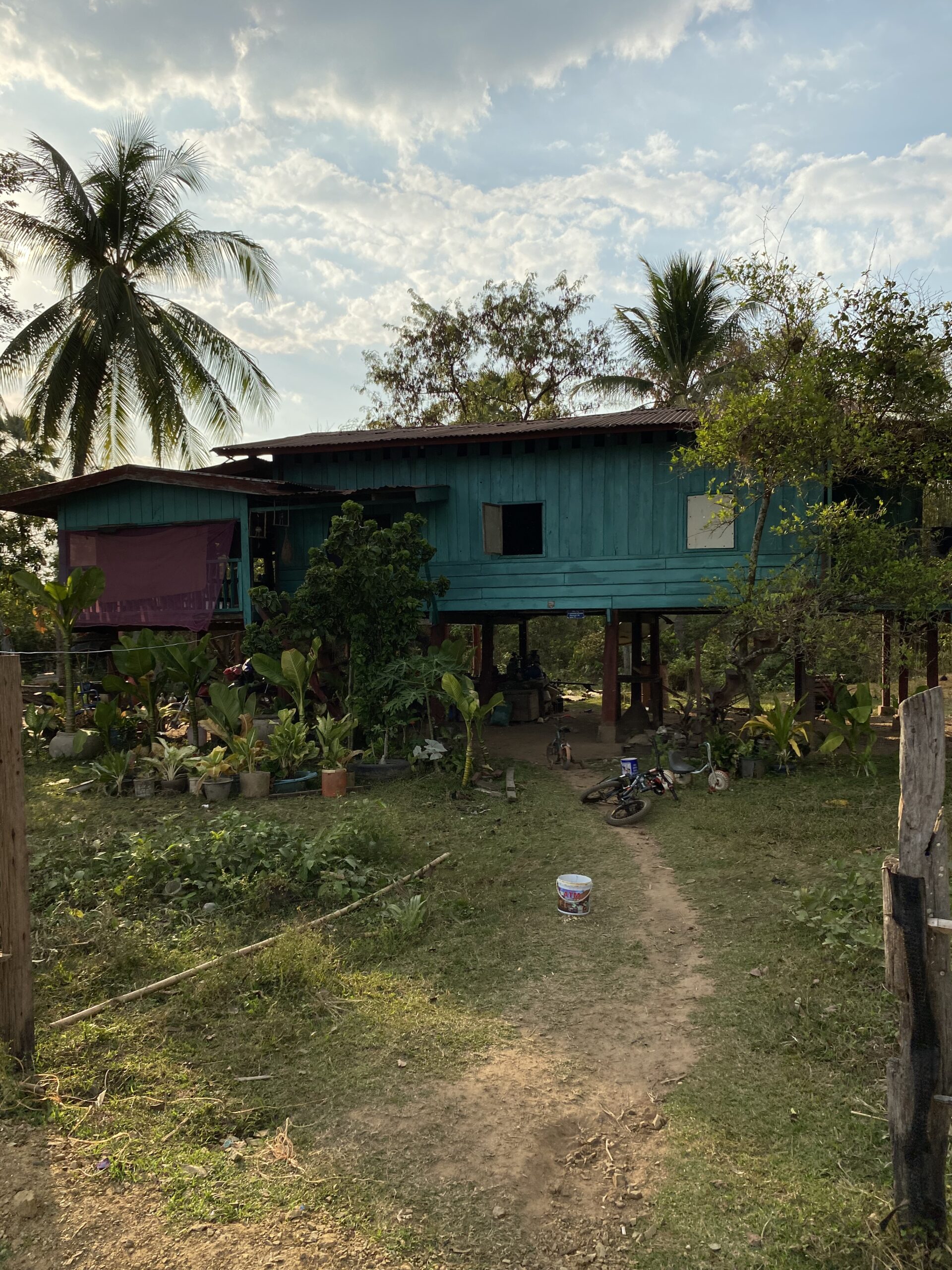 Casa de fusta sobre pilots entre palmeres a les illes del Mekong