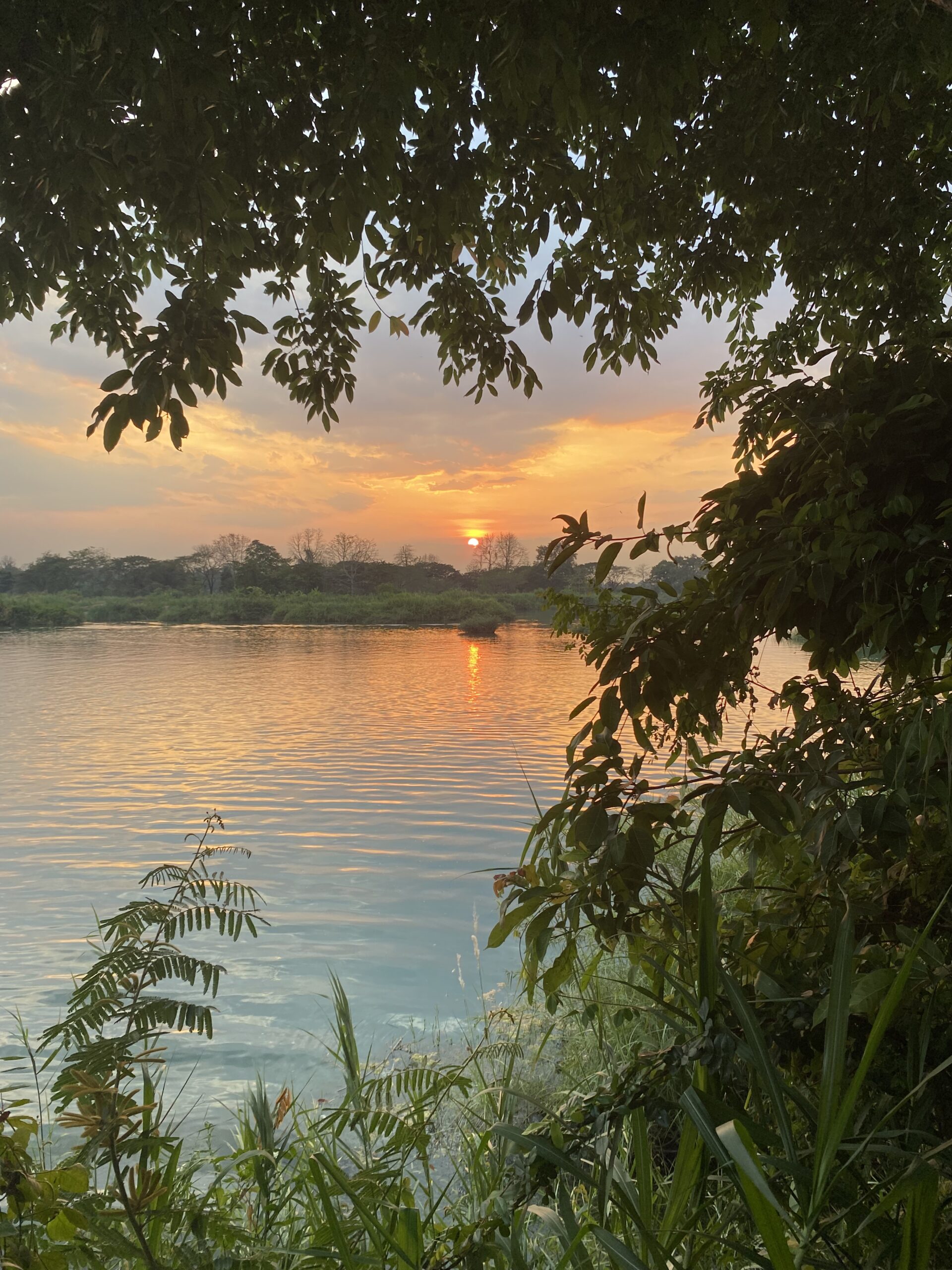 Posta de sol sobre el Mekong vista entre els arbres de Don Det