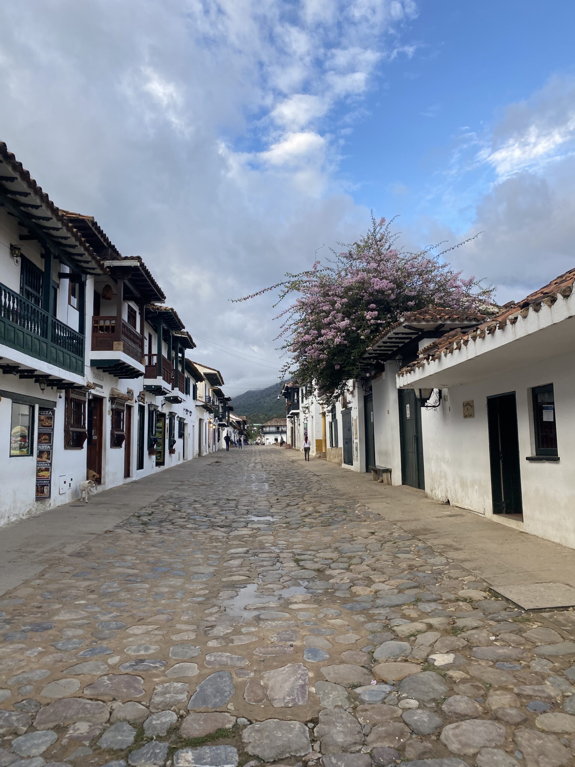 Carrer empedrat de Villa de Leyva amb cases blanques i un arbre florit