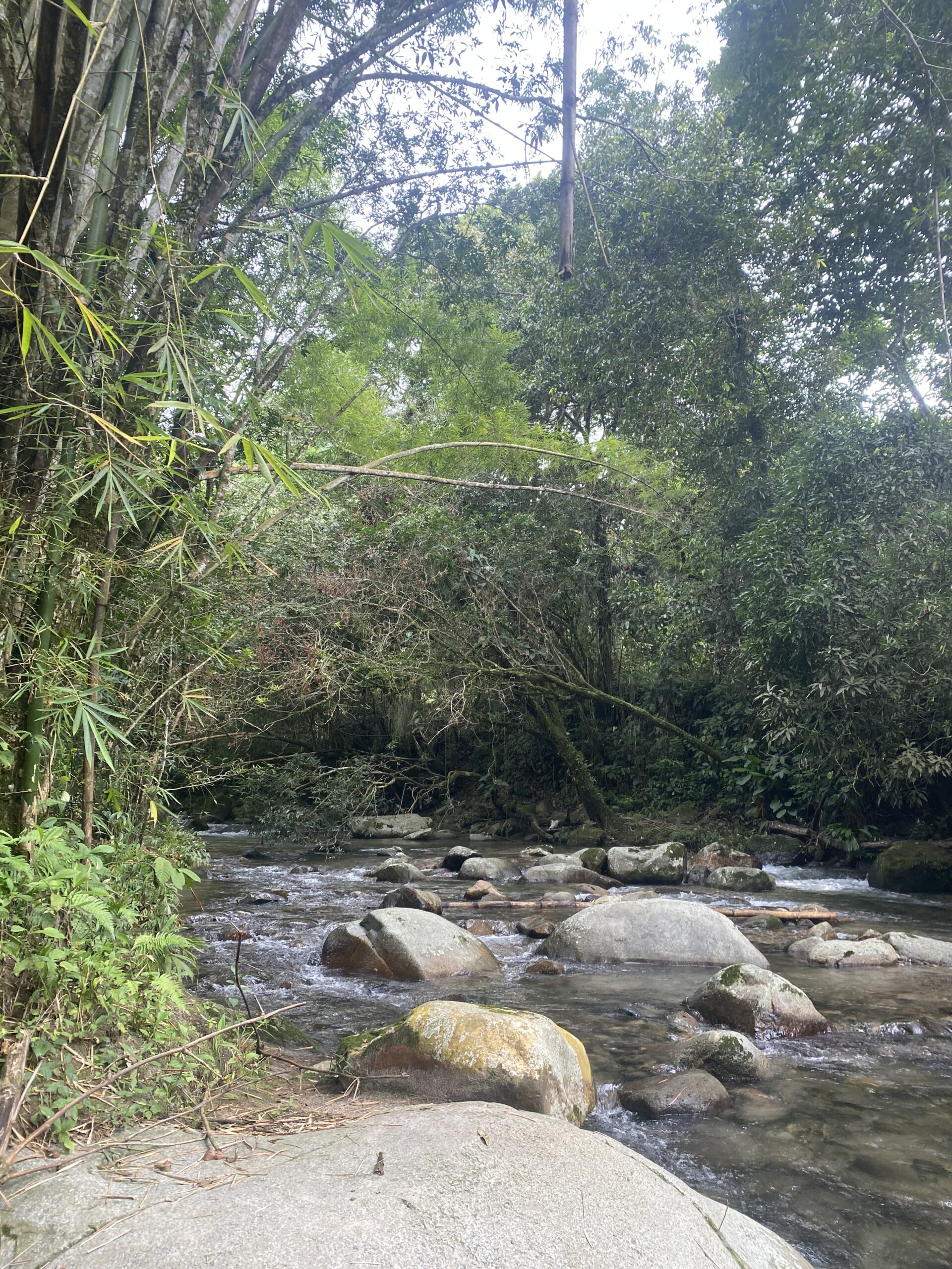 Riu de muntanya amb roques i vegetació tropical als voltants de Minca