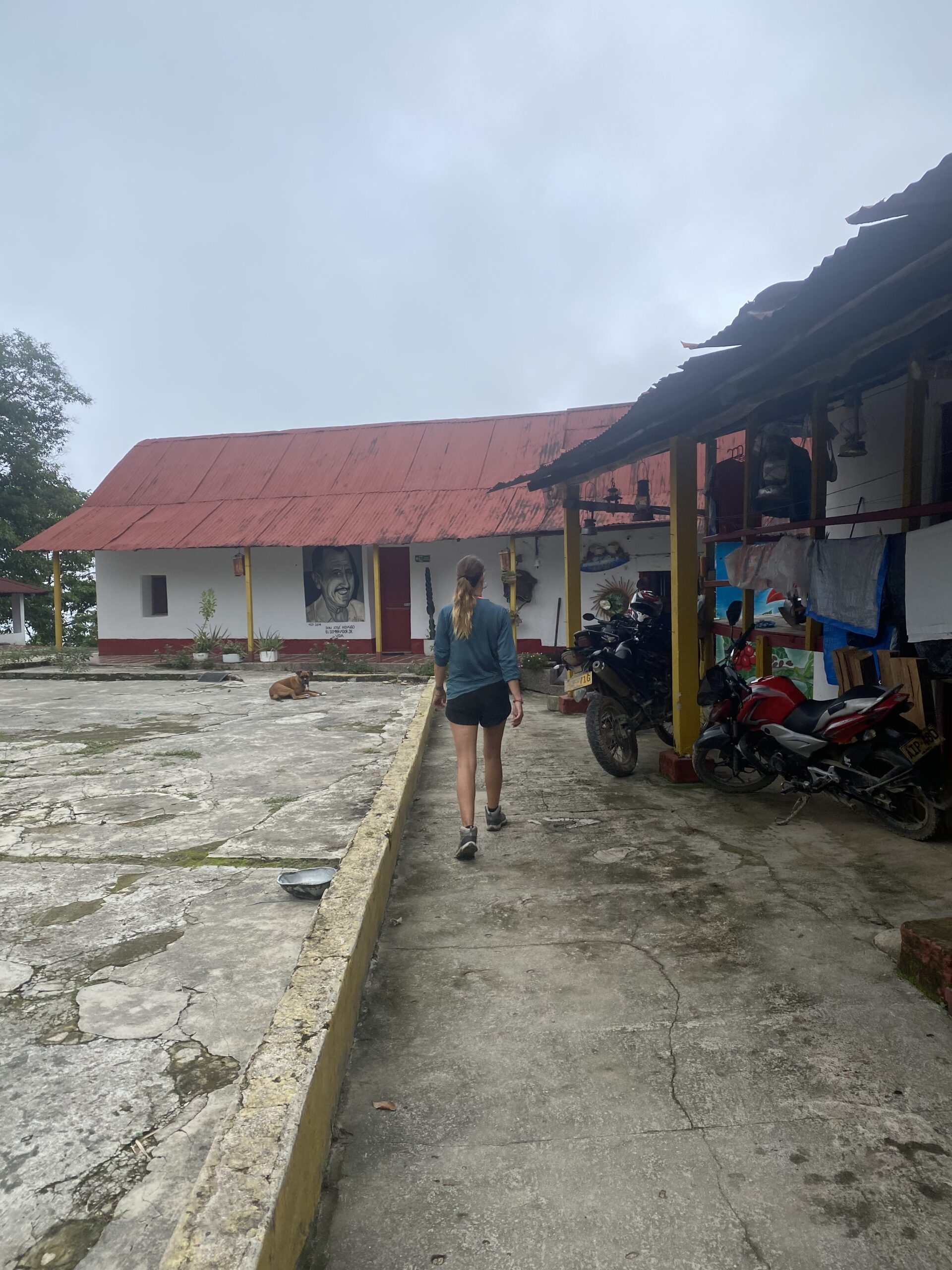 Un de nosaltres caminant per una de les finques de cafè dels voltants de Minca, davant d'una casa de teulada vermella