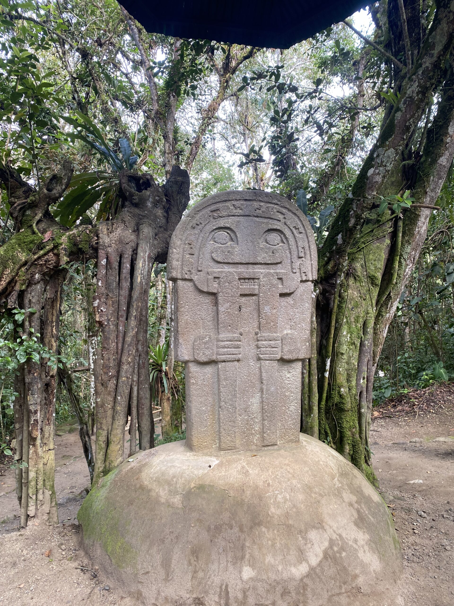 Detall del rostre tallat d'una escultura de pedra precolombina, envoltada de vegetació, a San Agustín