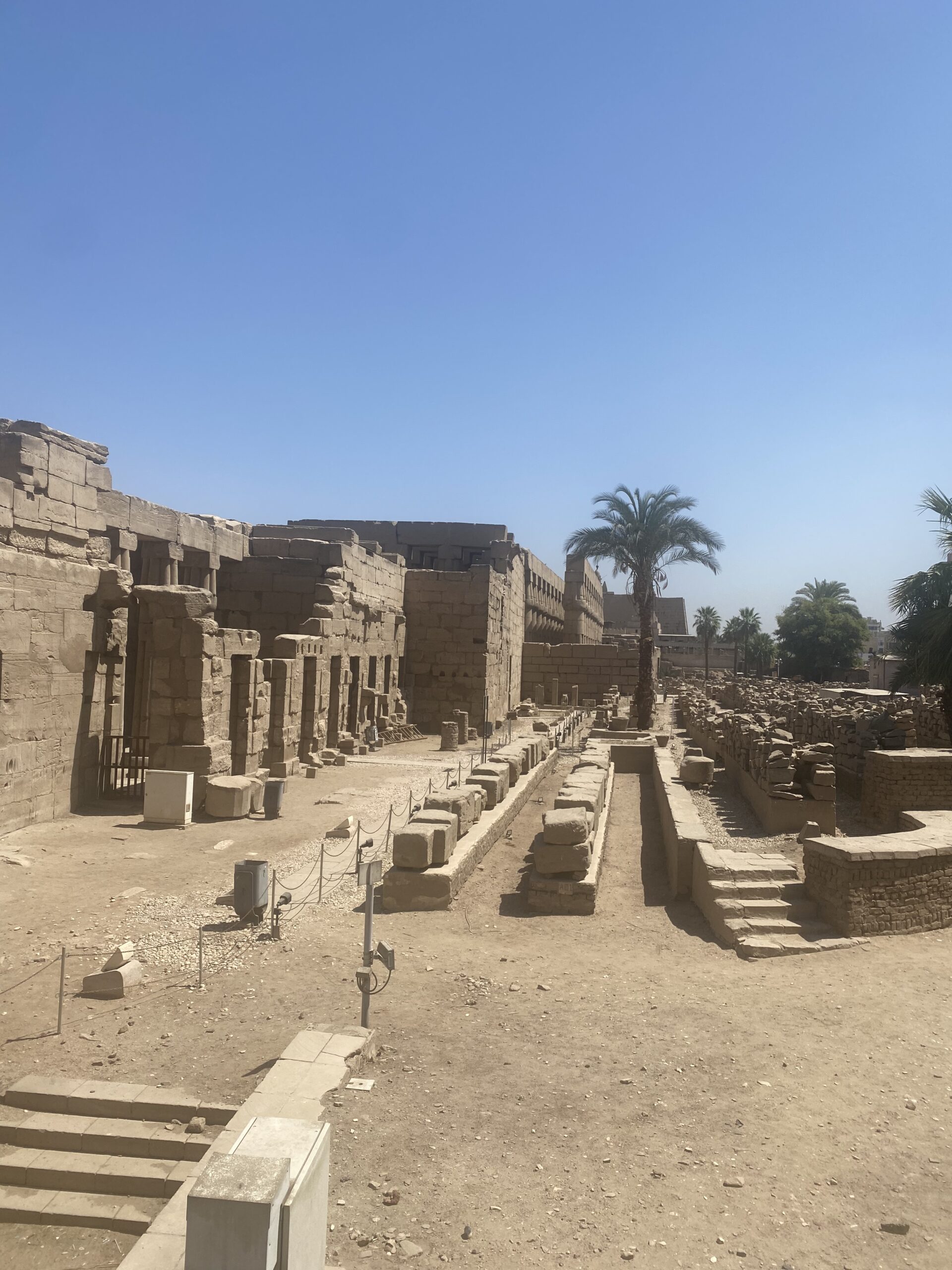 Restes d'un temple de Luxor amb palmeres