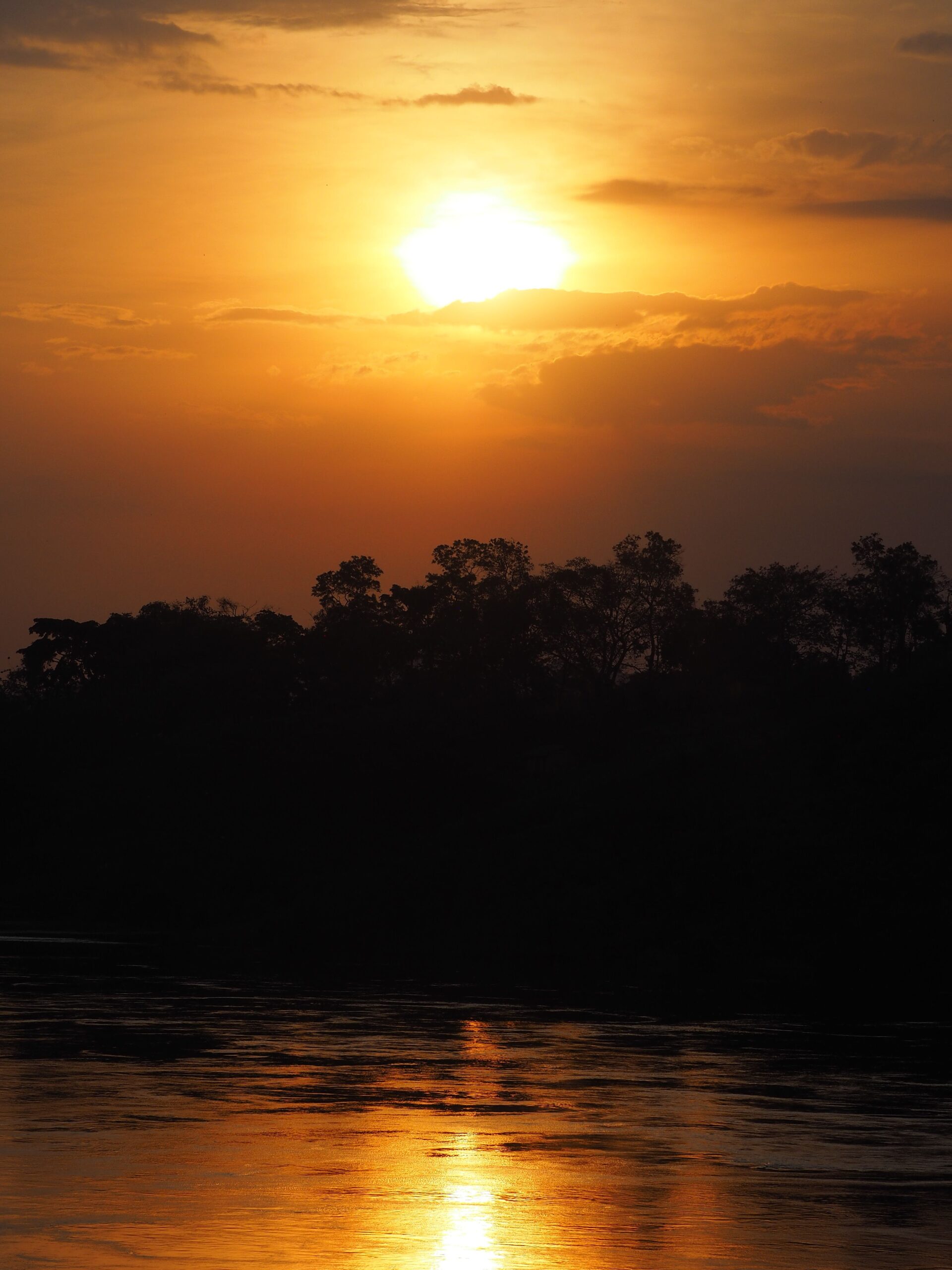 Posta de sol taronja sobre el riu Nil amb siluetes d'arbres a Jinja, Uganda